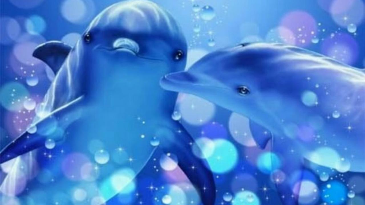 Free 3D Dolphin Wallpaper