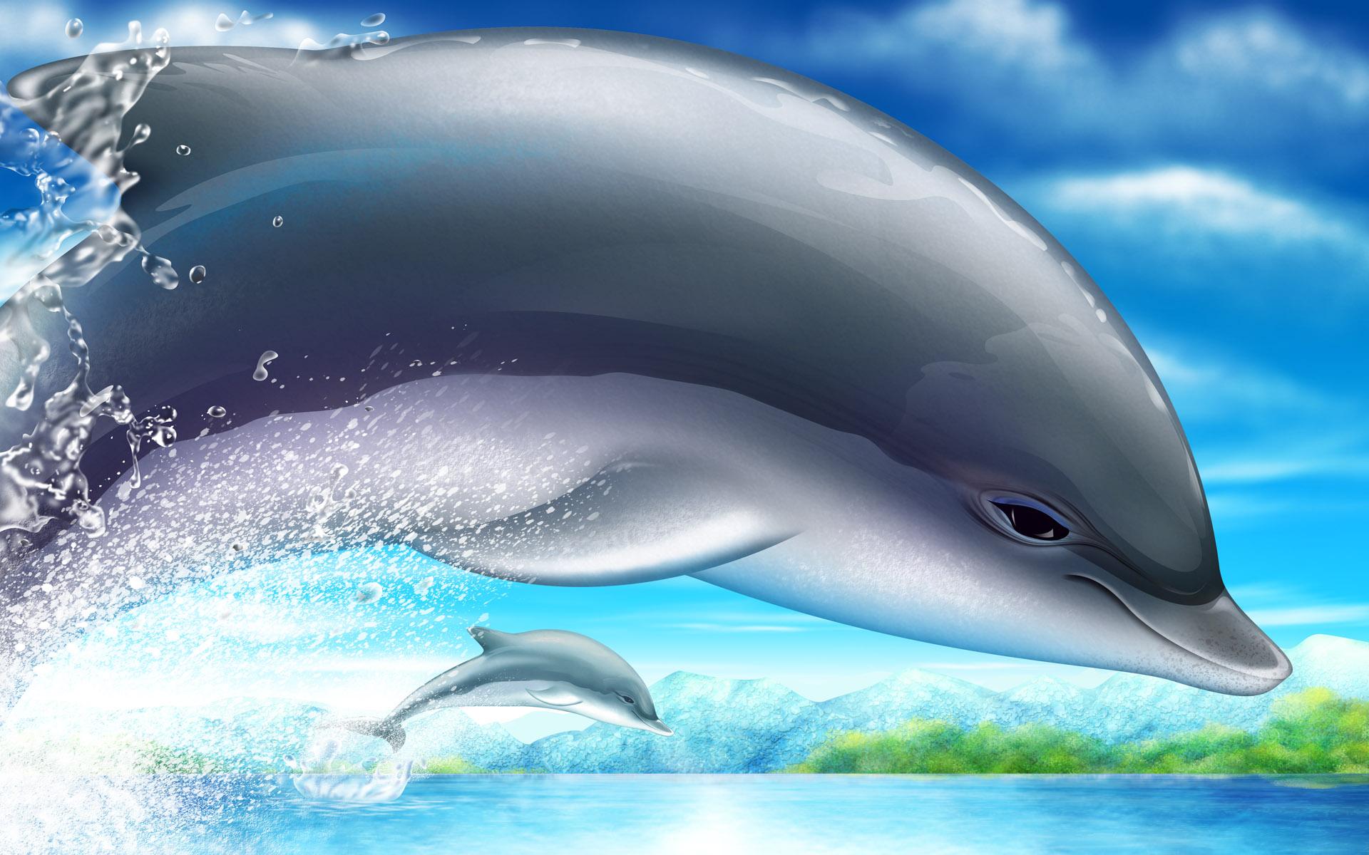 Free Dolphin Background