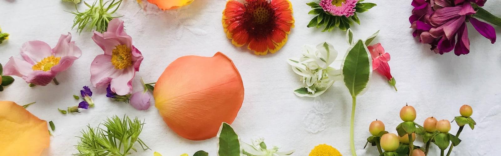 Home and Garden Idea Fair best free garden, plant, flower