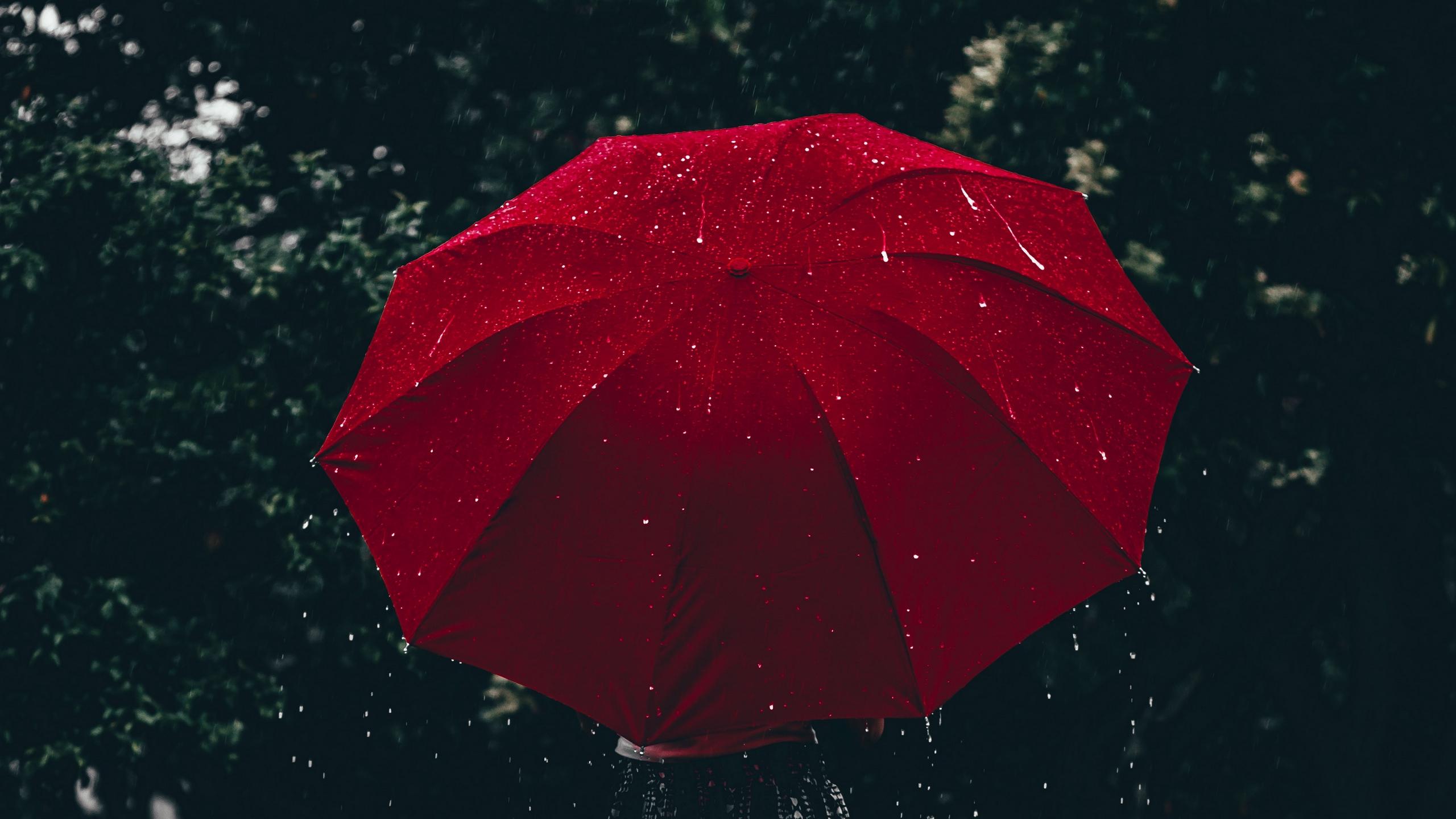 Download wallpaper 2560x1440 umbrella, red, girl, rain widescreen 16