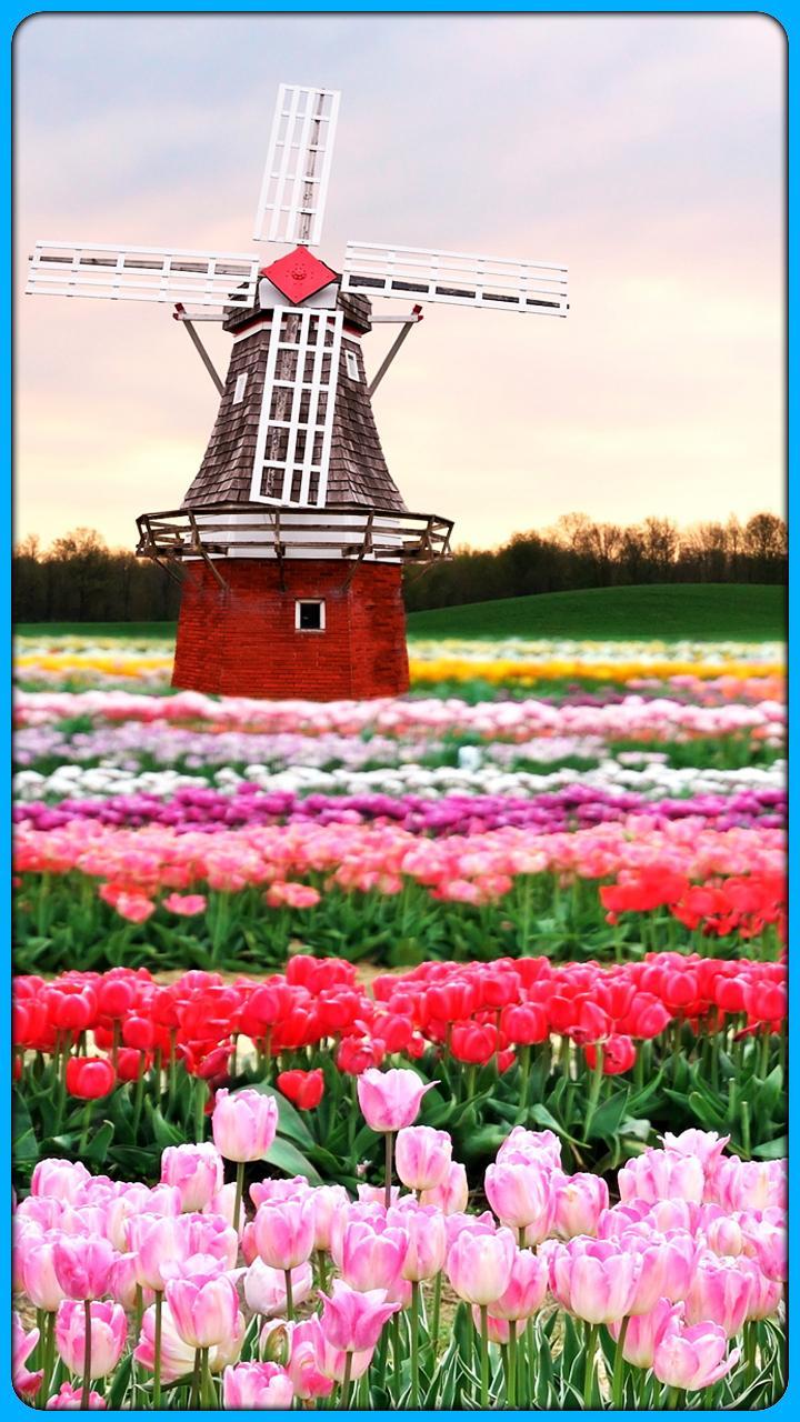 HD Awesome Netherlands Wallpaper for Android