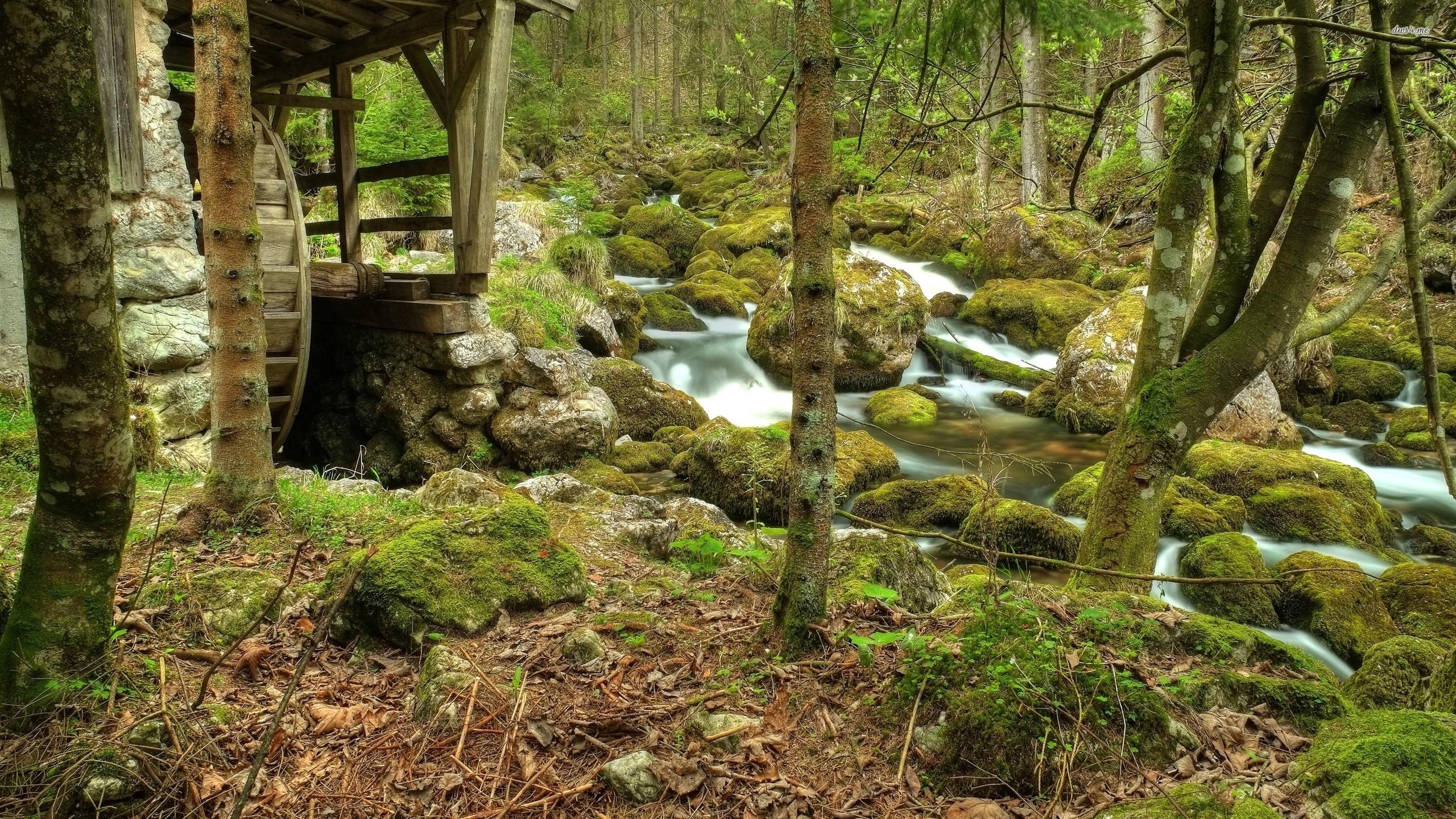Watermill in the forest by the rocky river wallpaper