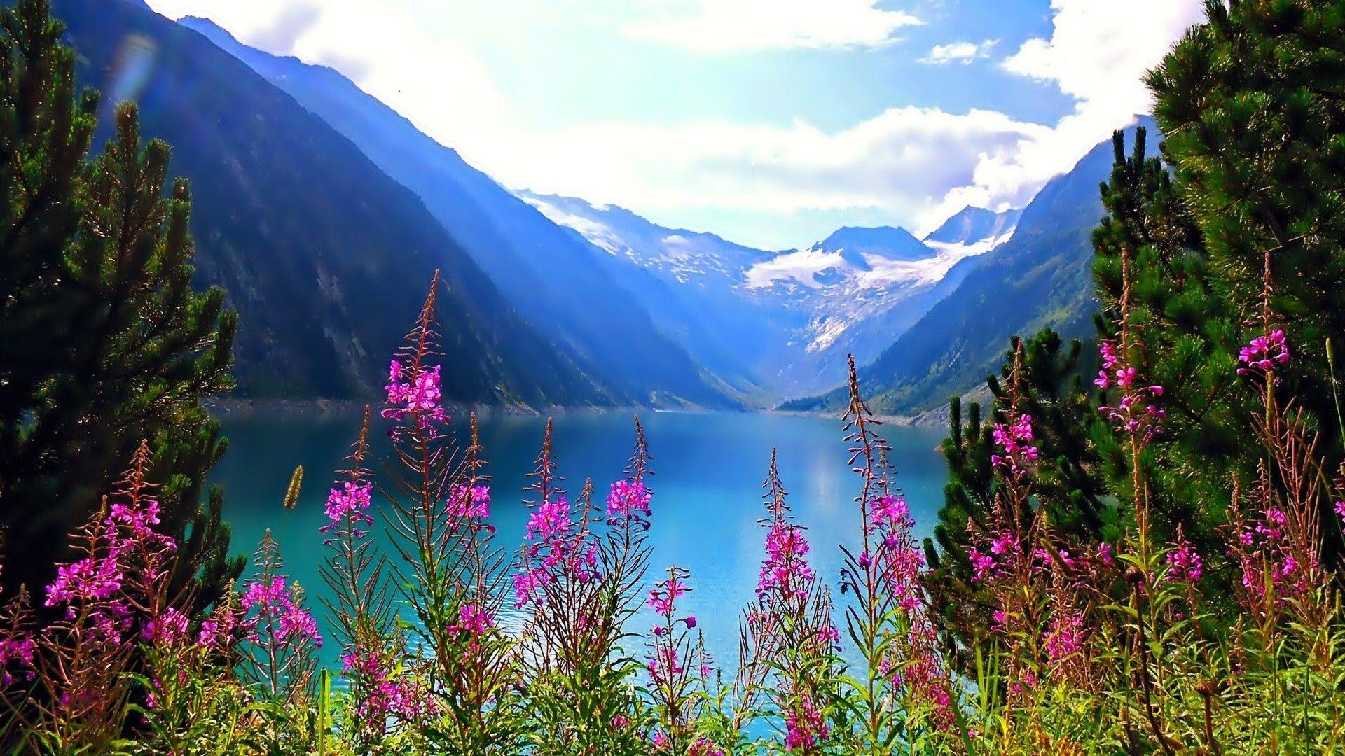 Landscape With Mountain, Lake And Flowers Wallpapers - Wallpaper Cave