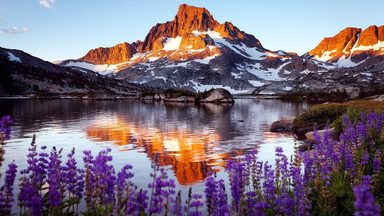 Mountain, Rock, Lake, Flowers