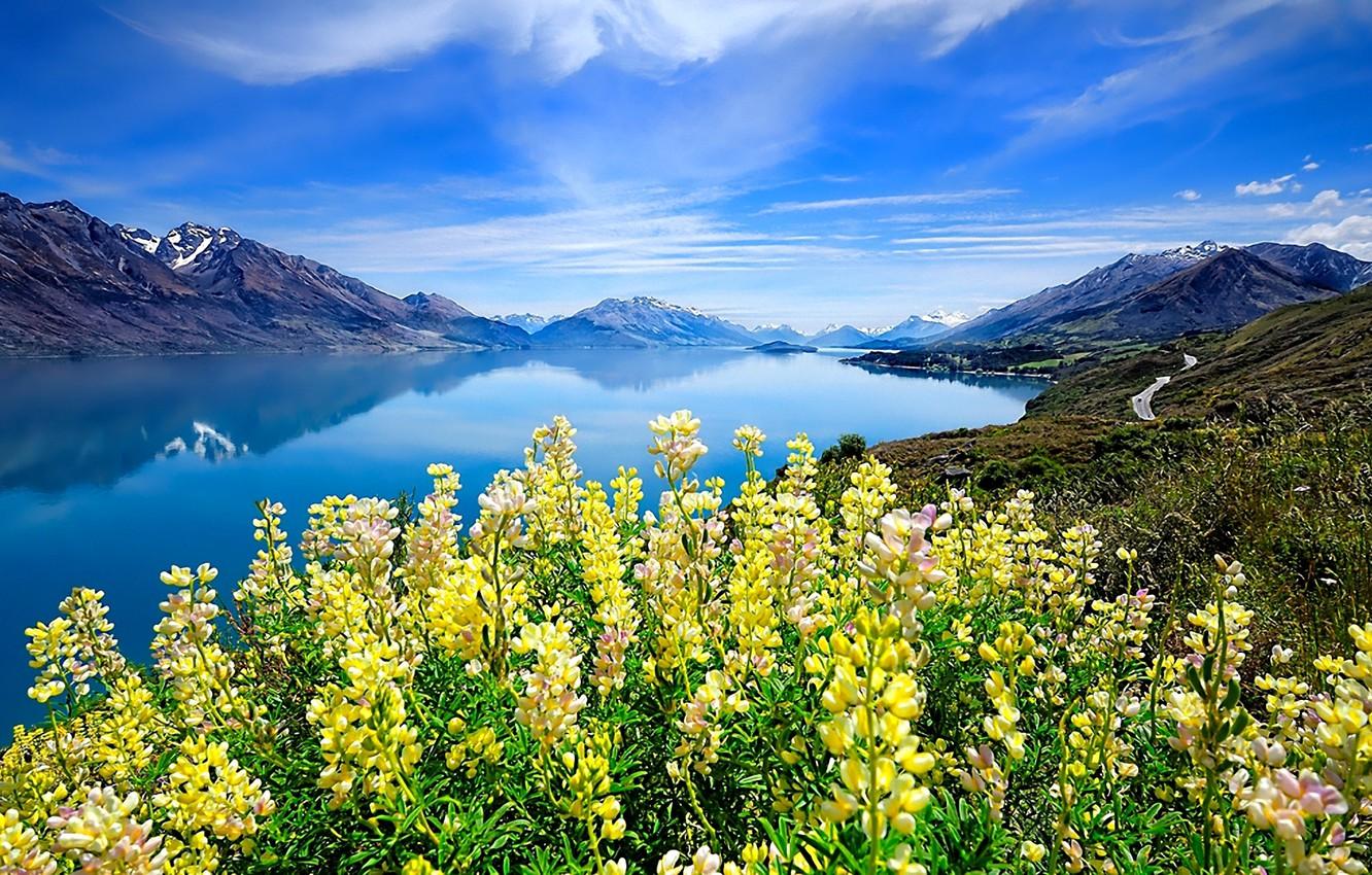 Wallpaper the sky, clouds, flowers, mountains, lake image