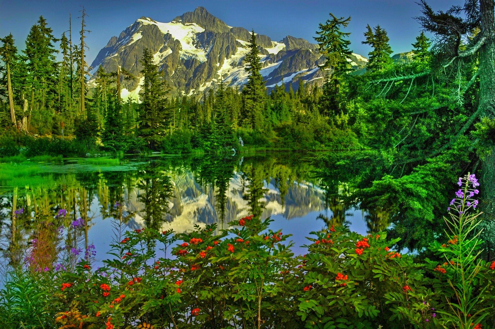 lake, blue sky, sunrise, flowers, mountain, reflection, beautiful, springtime, trees, forest wallpaper