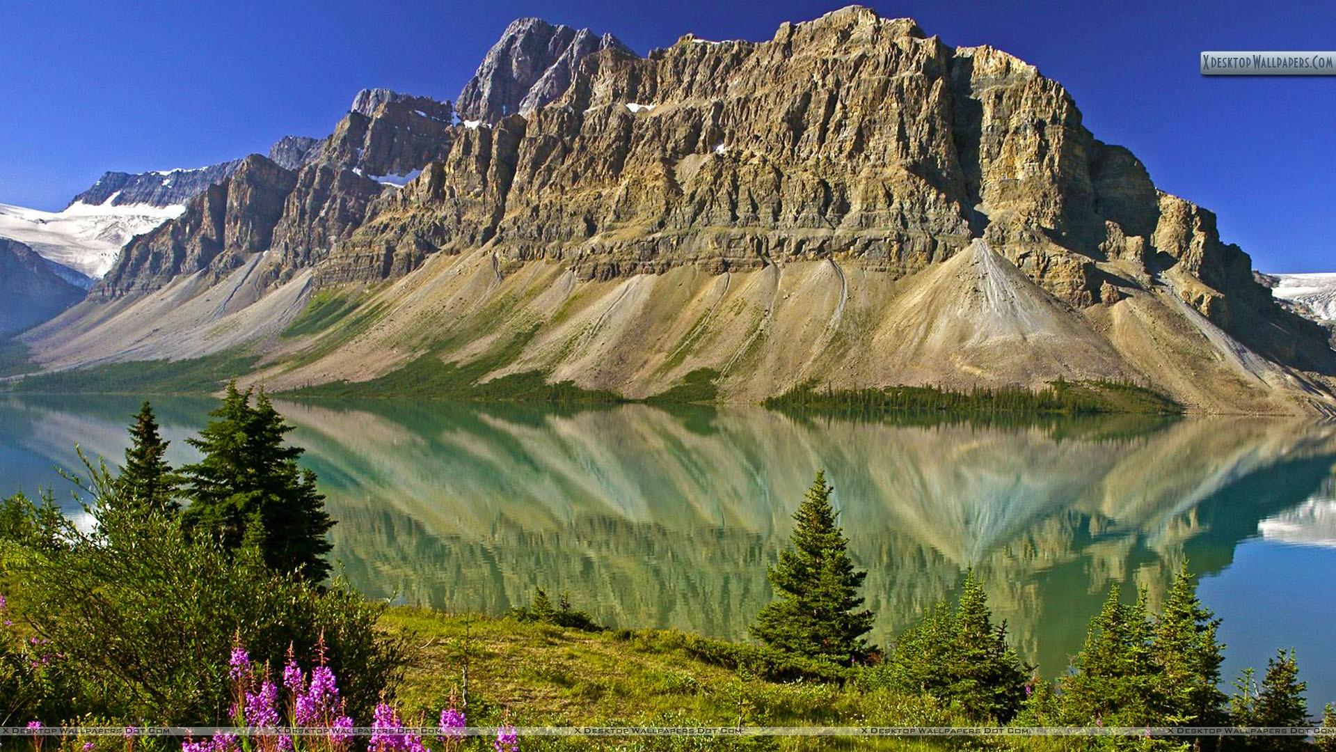 Bow Lake And Flowers Banff National Park Alberta Canada C25 Wallpaper