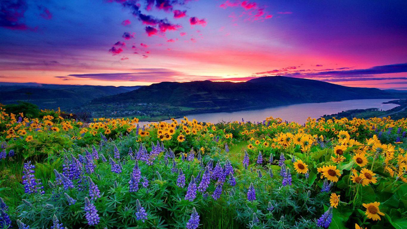 Nature Landscape Yellow Flowers And Blue Mountain Lake Hills Red