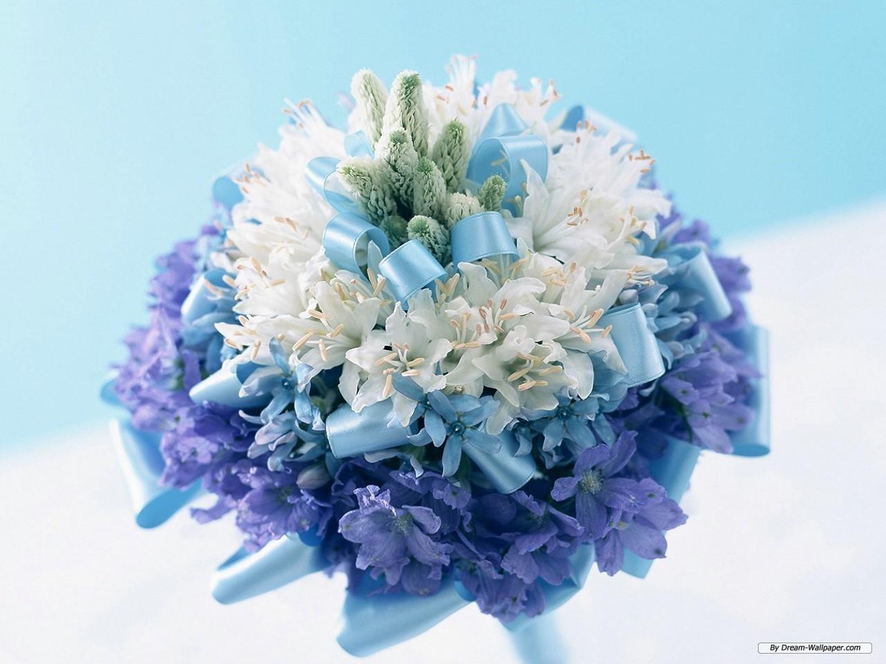 Free Wallpaper Flower wallpaper Flower wallpaper