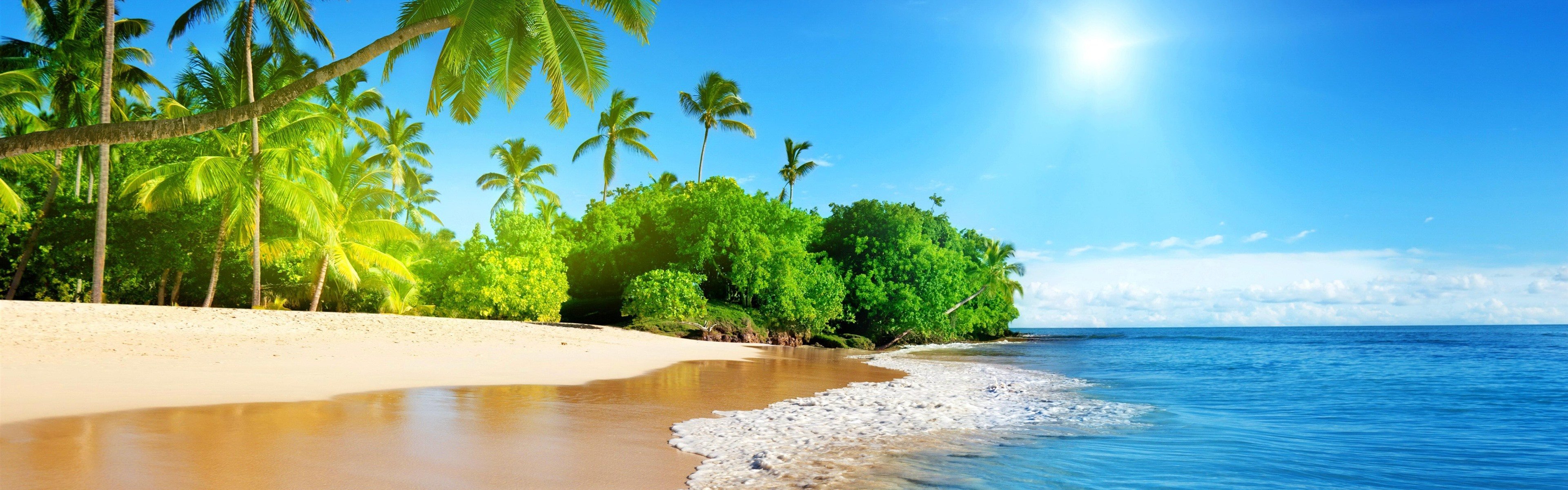 Wallpapers Beautiful beach, palm trees, sea, sunshine, tropical