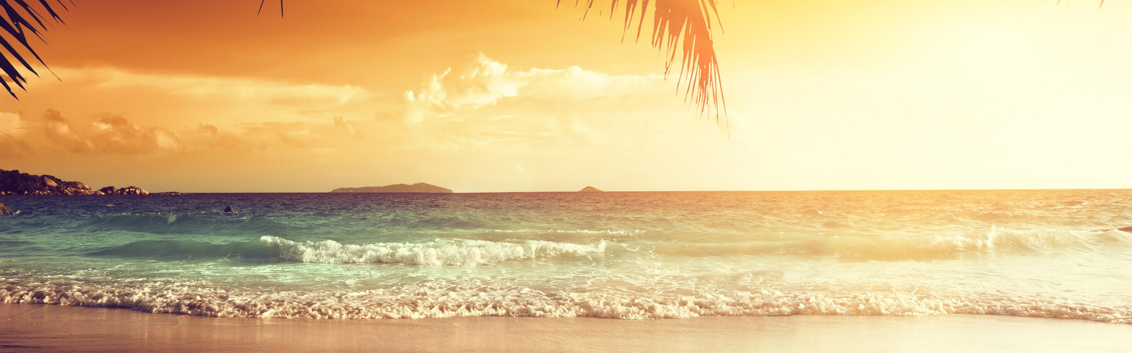 Wallpapers Beautiful sunset, palm tree leaves, beach, sea, tropical