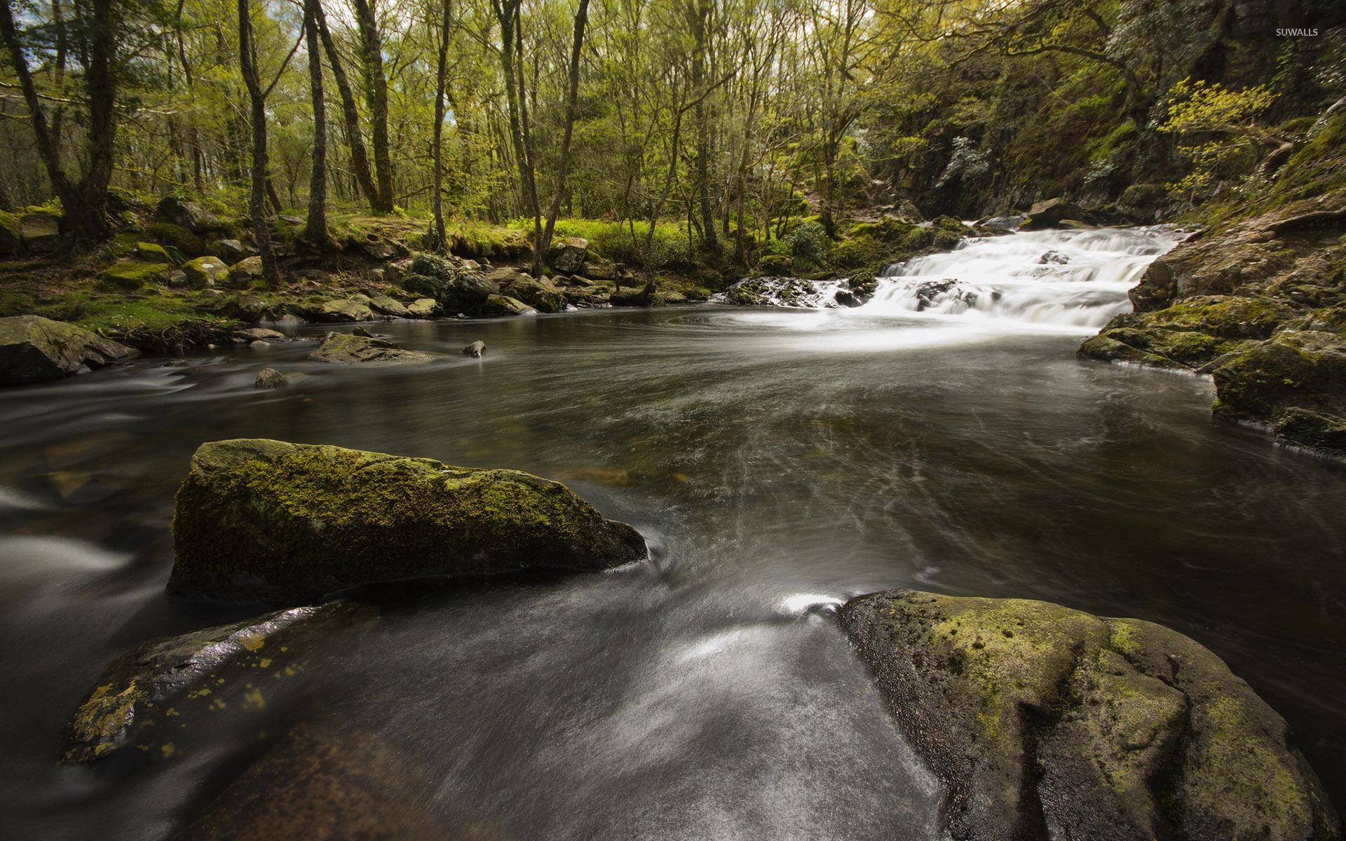 Mountain waterfall on mossy rocks wallpaper wallpaper