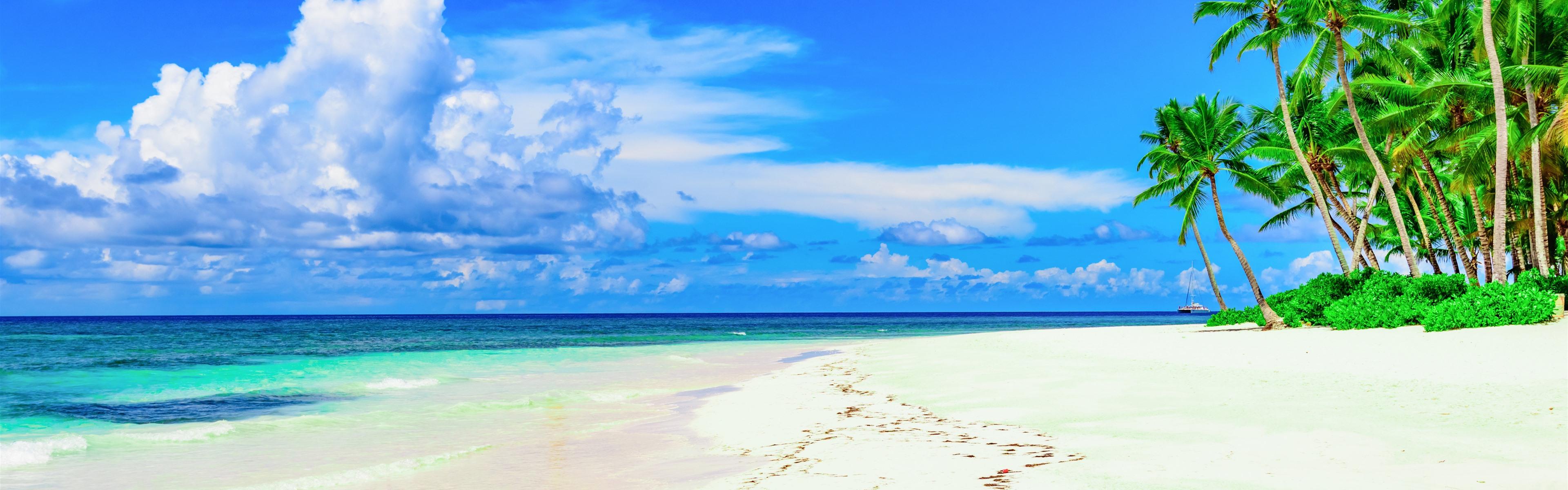 Wallpapers Beach, palm trees, blue sky, summer, tropical 5120x2880