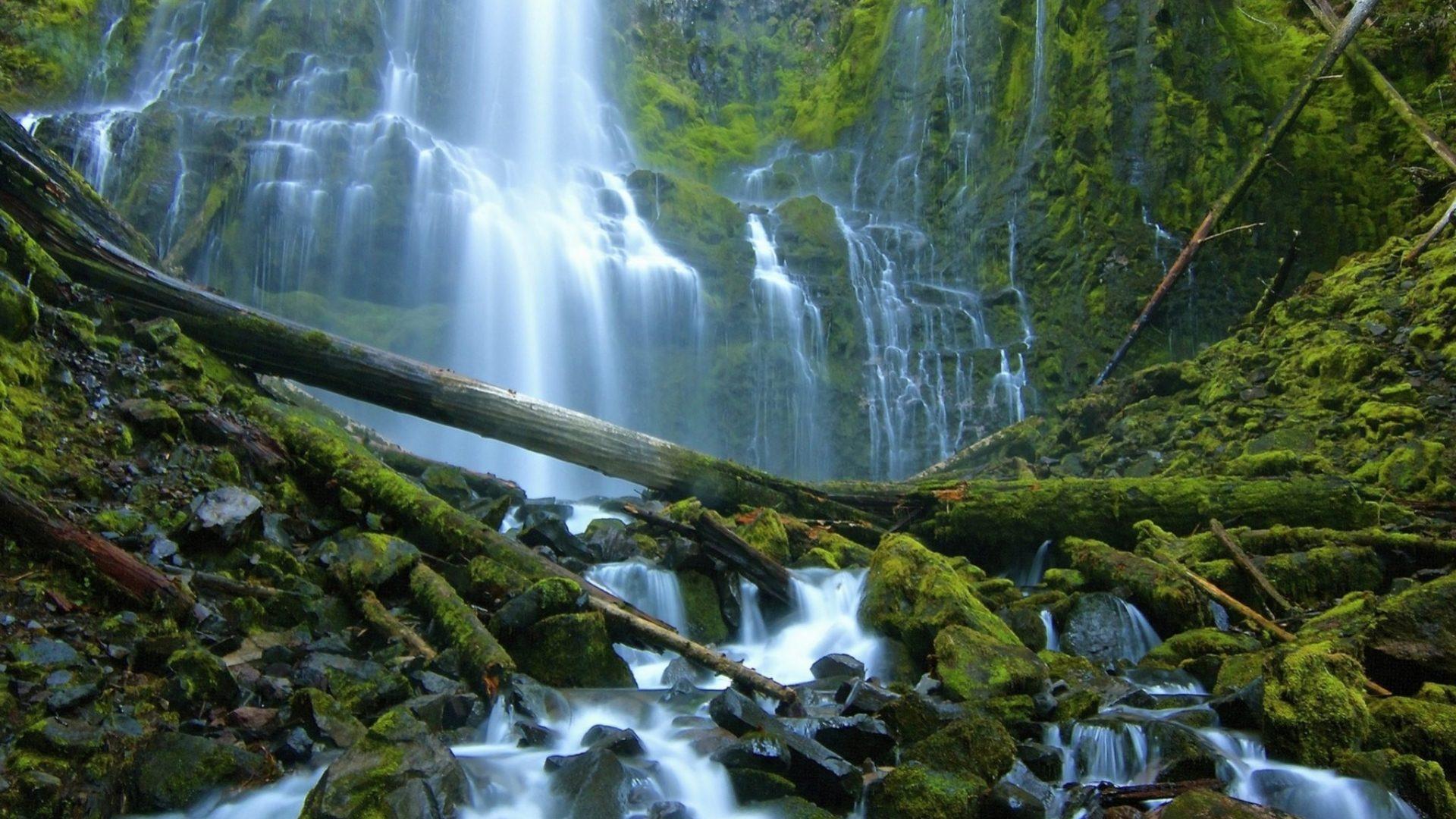 Proxy Tag wallpaper: Falls Willamette Mountain Proxy Waterfalls