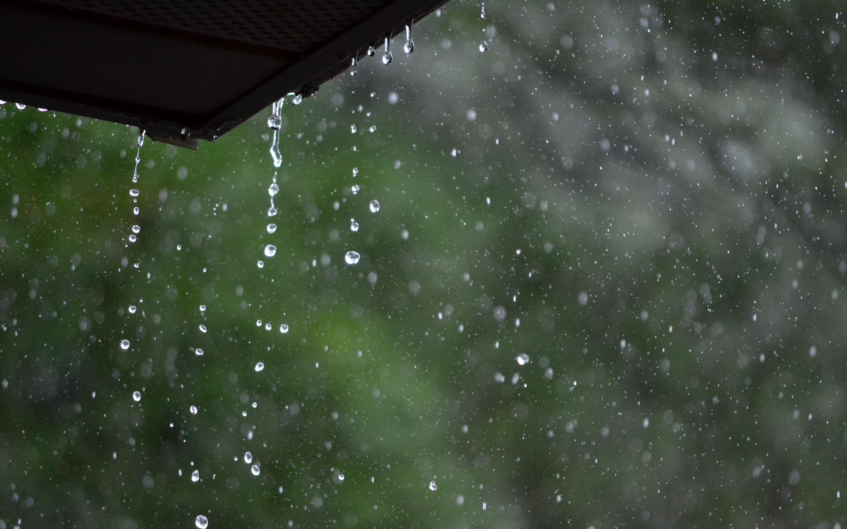 Raindrops HD Wallpaper and Background Image