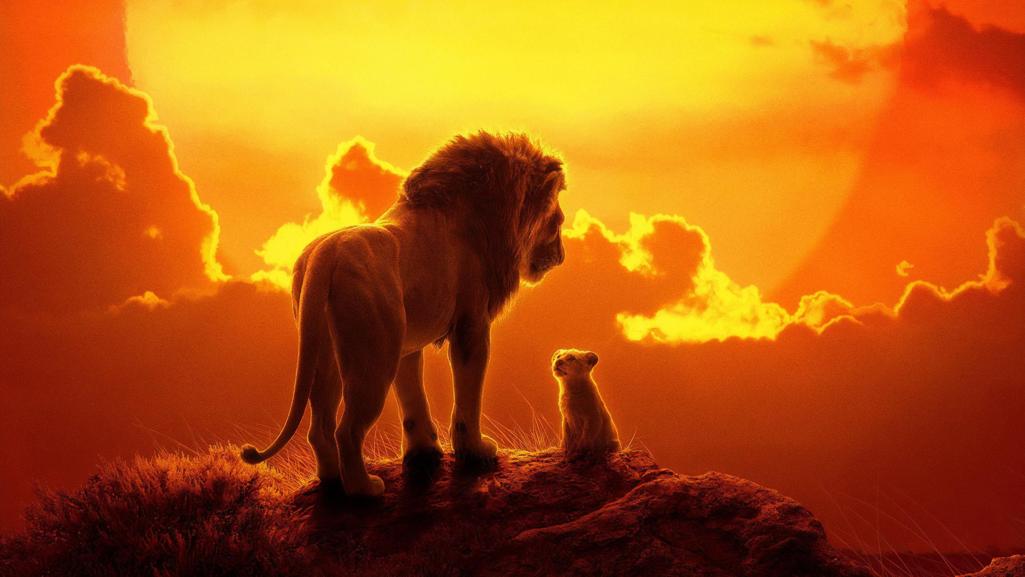 The Lion King Movie, HD Movies, 4k Wallpaper, Image, Background