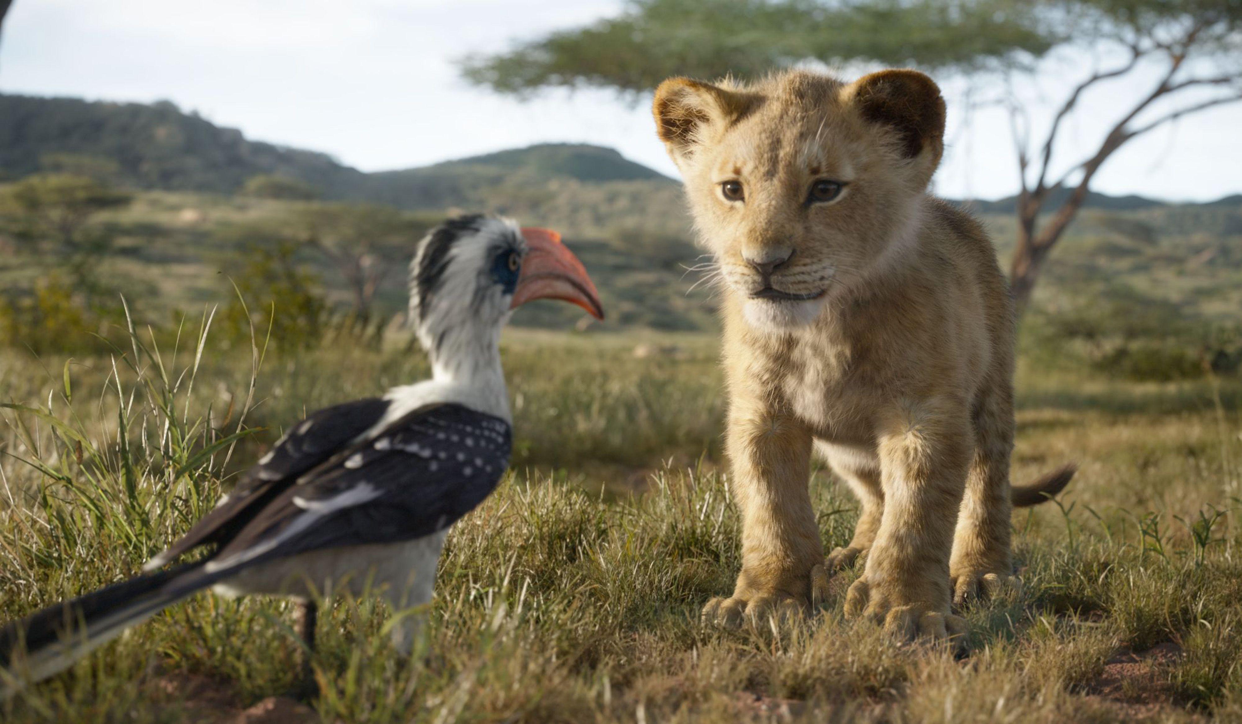 The Lion King Simba 4k, HD Movies, 4k Wallpaper, Image