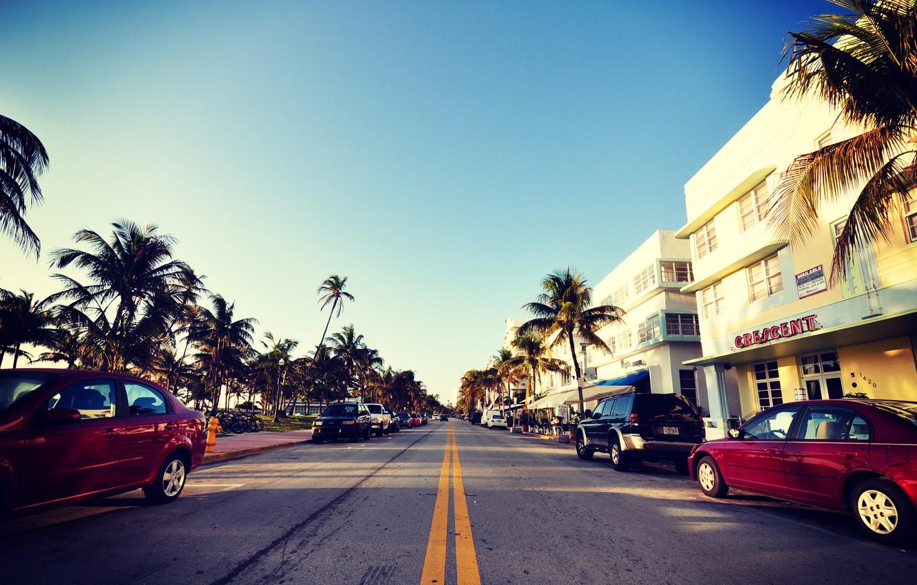 Wallpaper road, auto, the sky, palm trees, street, Miami, FL, Miami