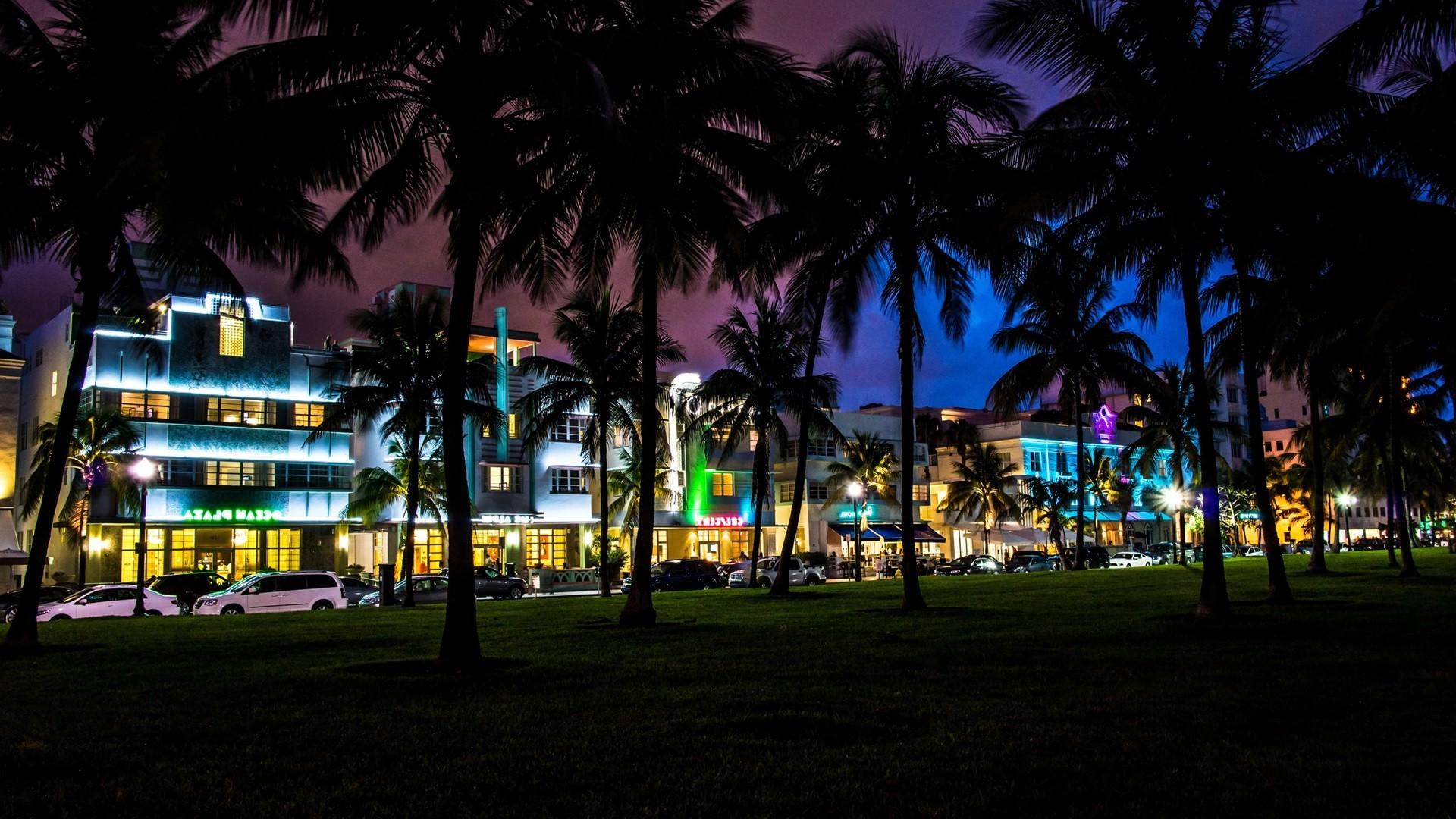 palm trees, South Beach, Miami, Florida Wallpaper HD / Desktop
