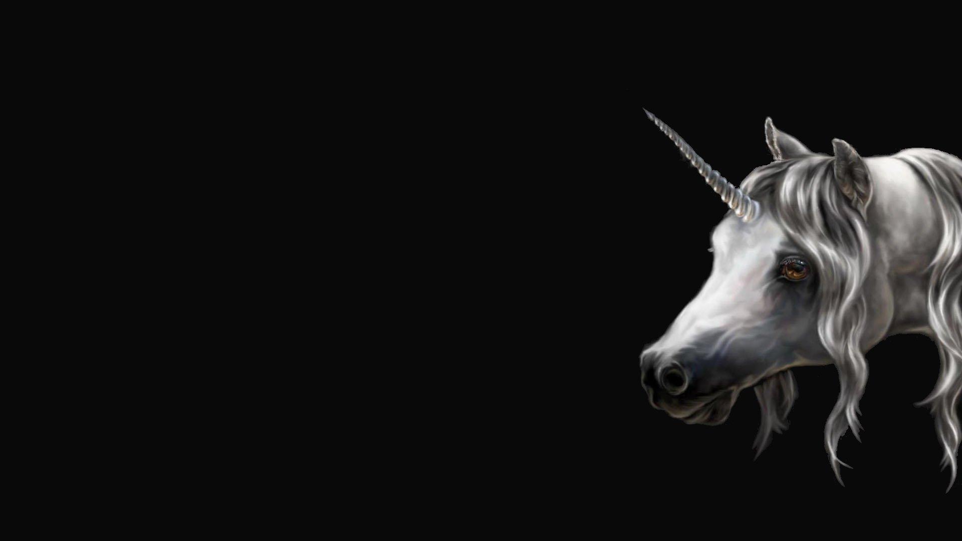 Unicorn wallpaper 1920x1080 Full HD (1080p) desktop background