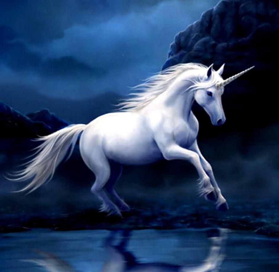 Unicorn Wallpaper HD Download