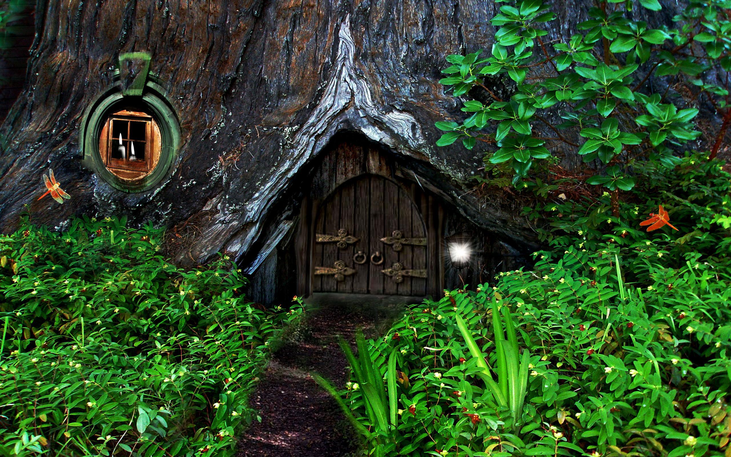 Thread of Fairy Homes. US Message Board