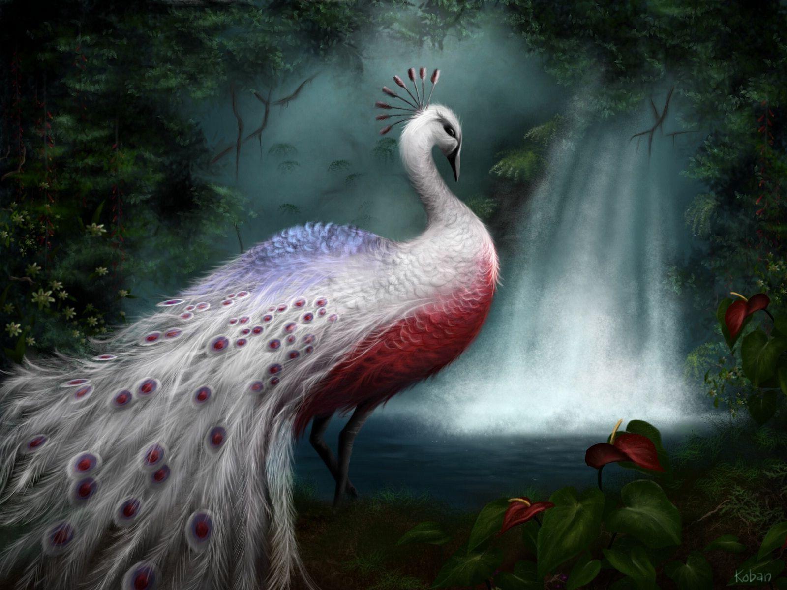 Art Painting Of White Peacock Beauty Wallpaper