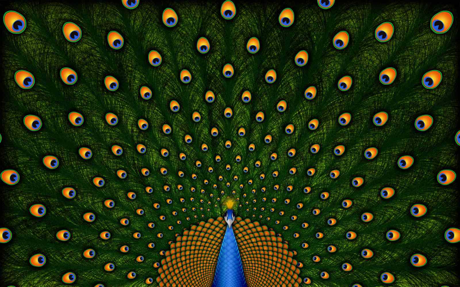 Beauty Peacock Wallpaper For Mobile Best HD Wallpaper uk