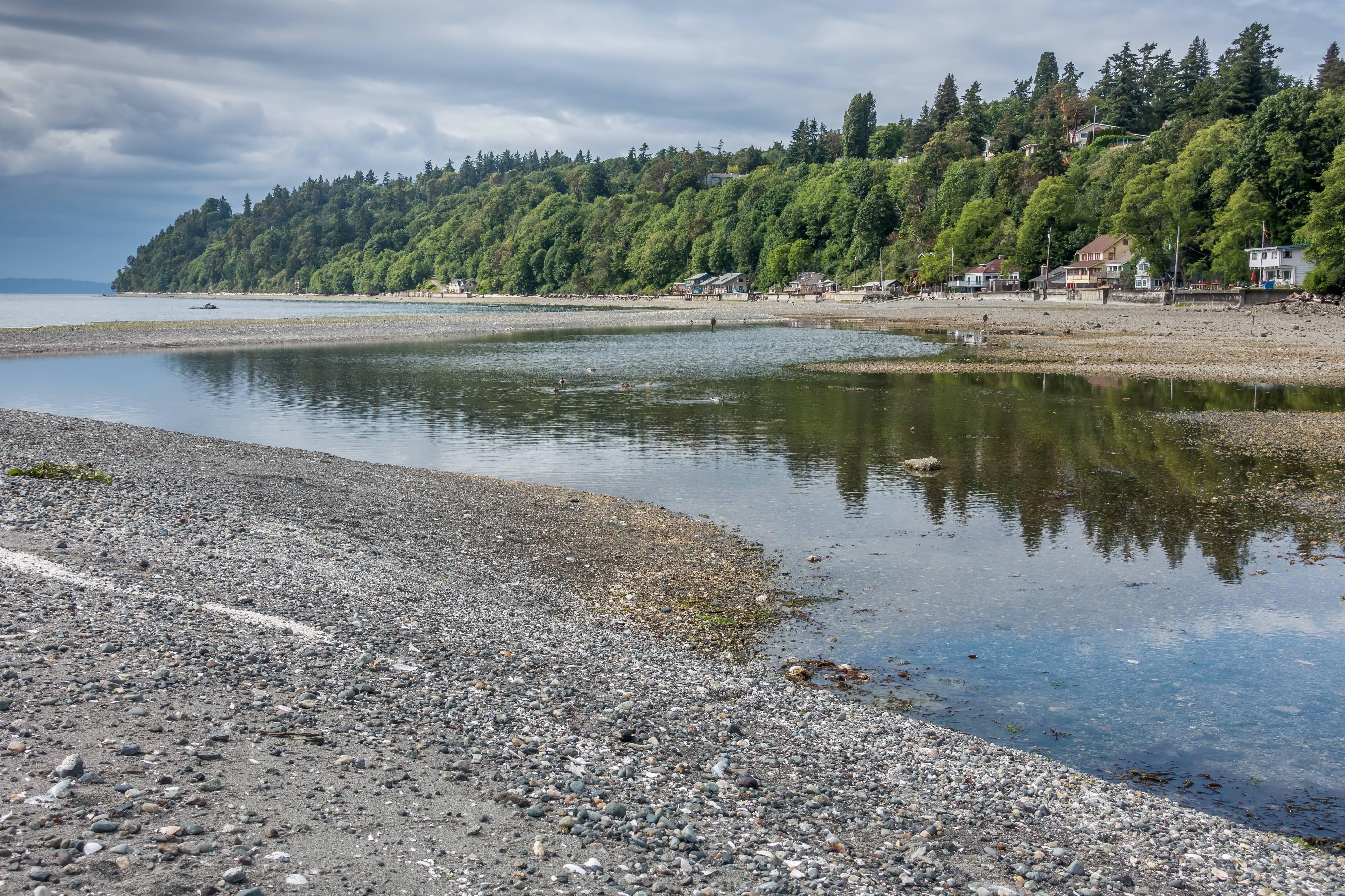 Pacific Northwest Shoreline 4K wallpaper