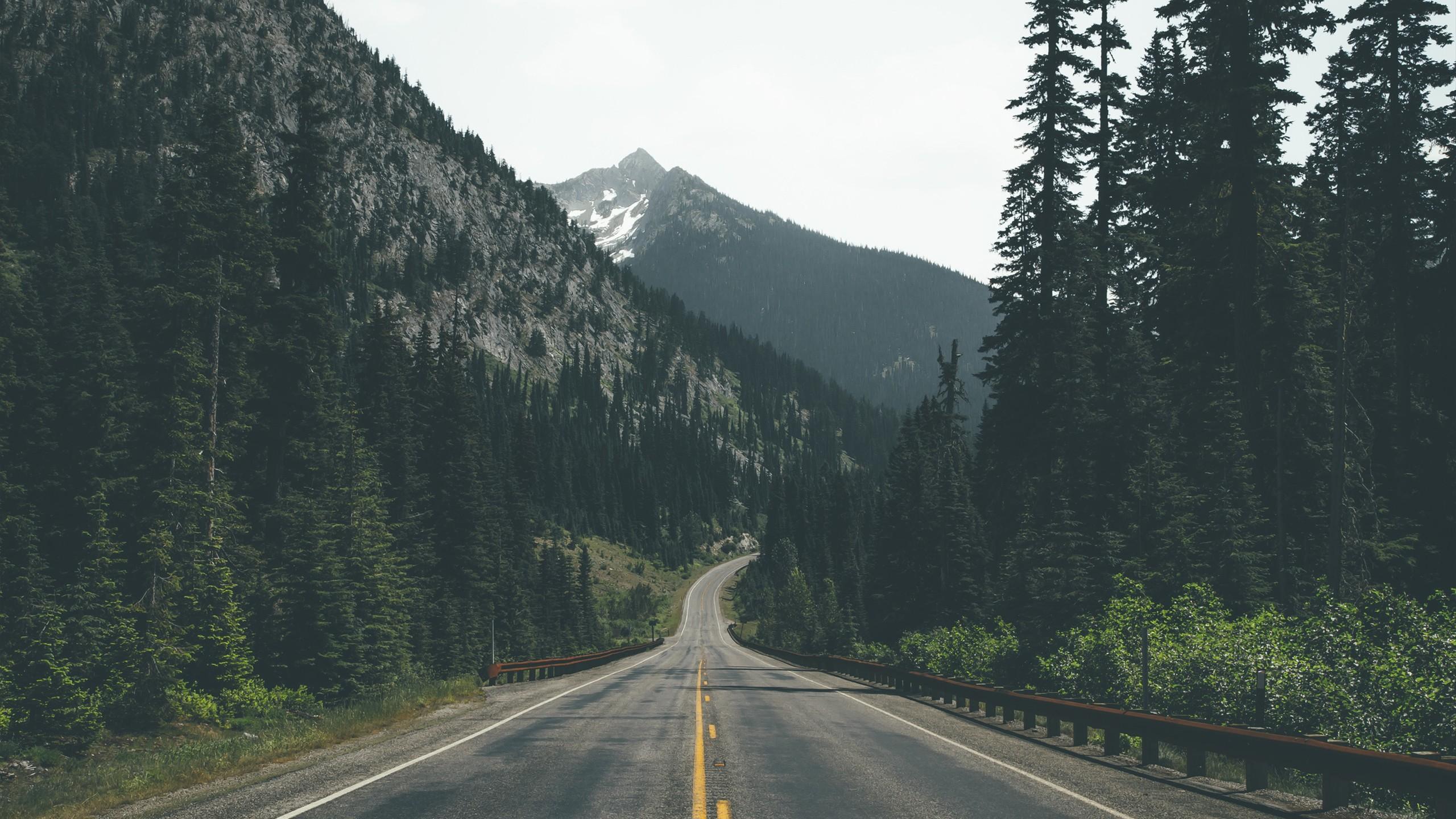 #road, #mountains, #photography, #forest, wallpaper