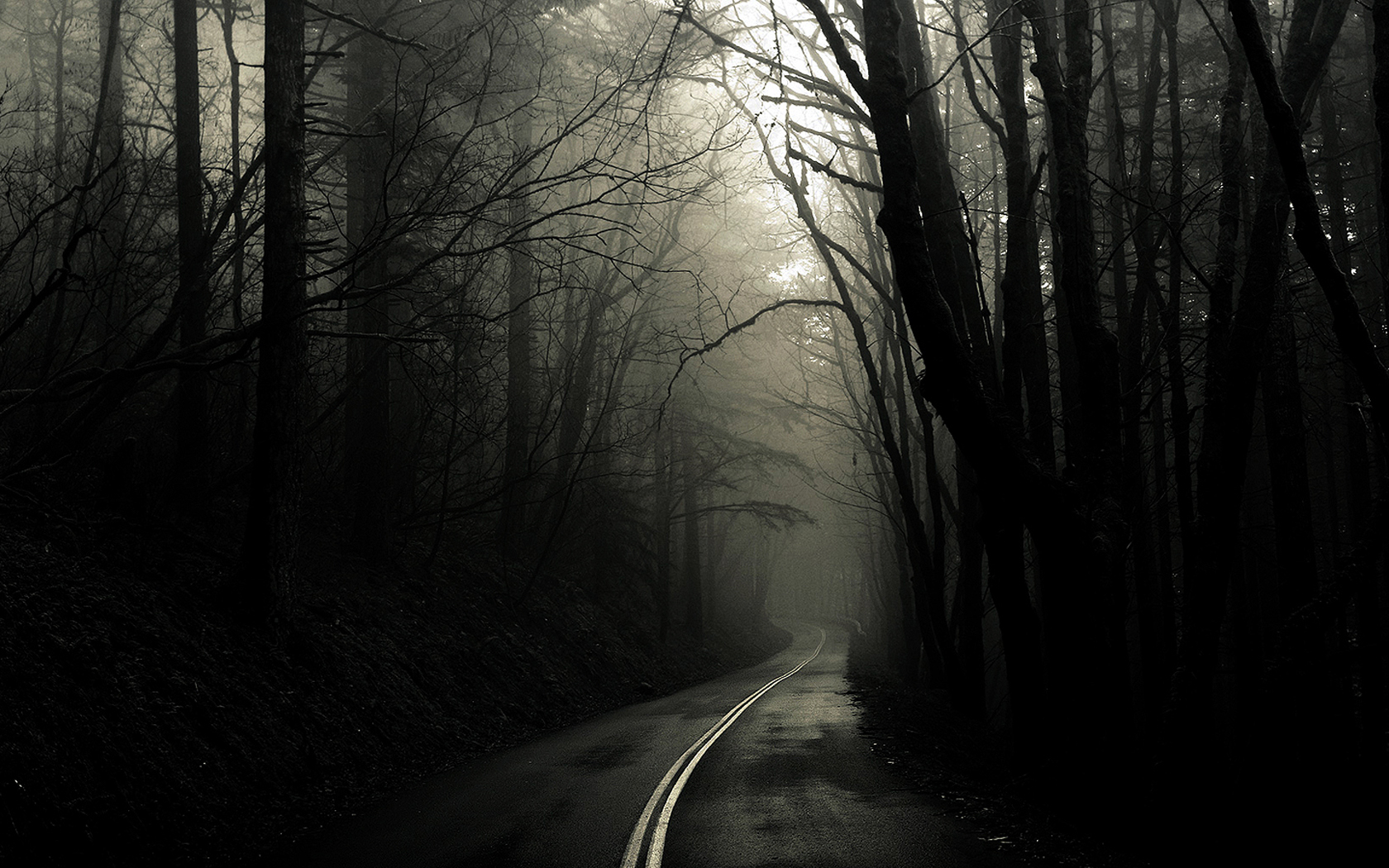 Fog Forest Road HD Wallpaper, Background Image