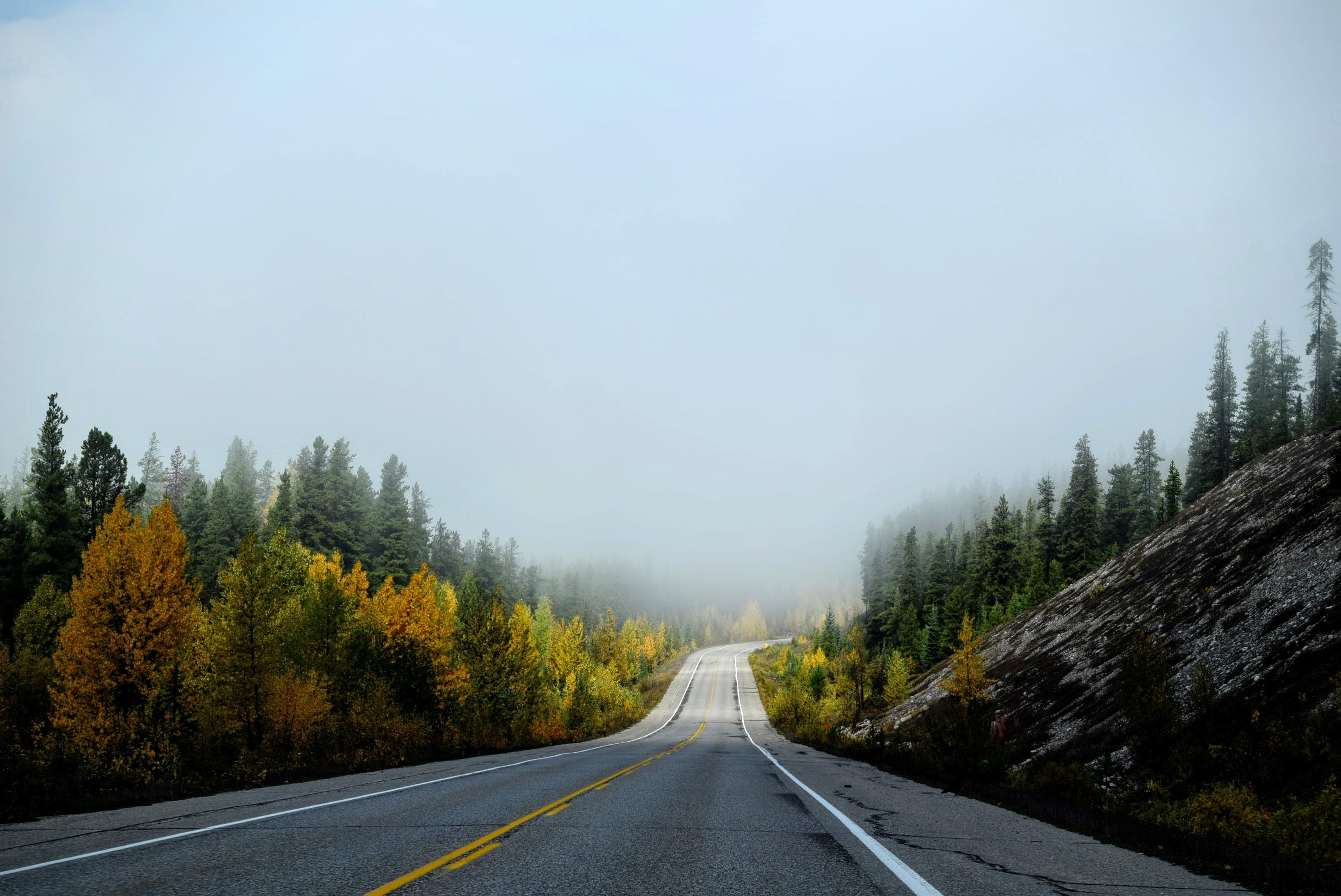 2992x2000 #autumn, #fog, #curve, #mountain, #path, #mist