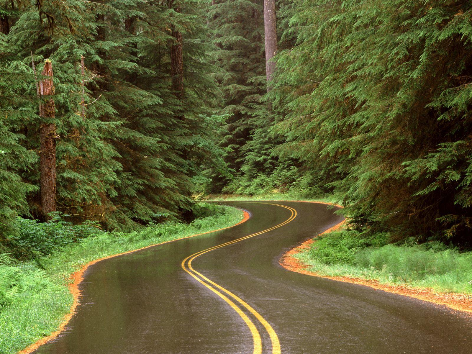 Winding Road Wallpaper High Quality