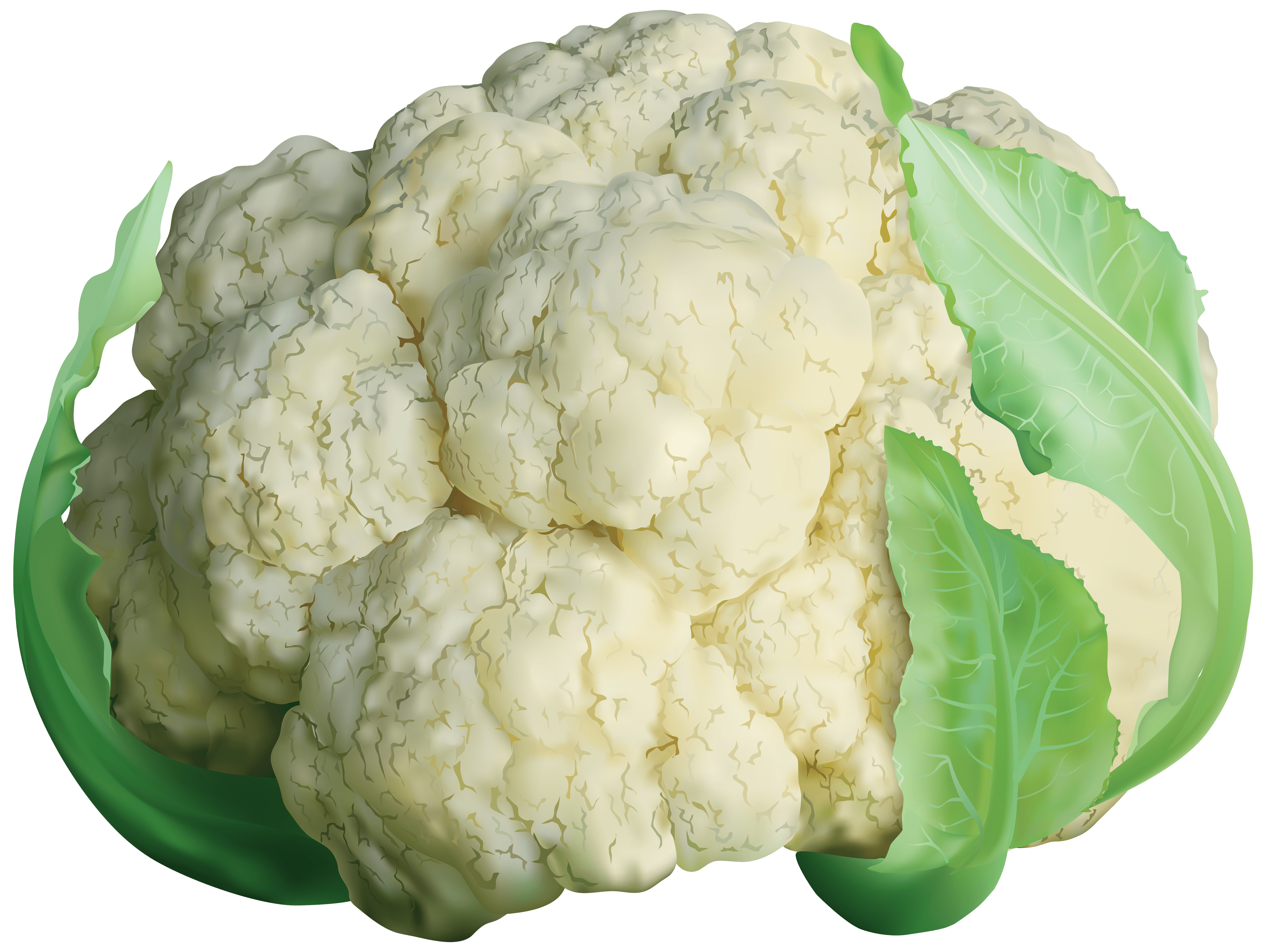 Cauliflower recipes and wine pairings | CN Traveller