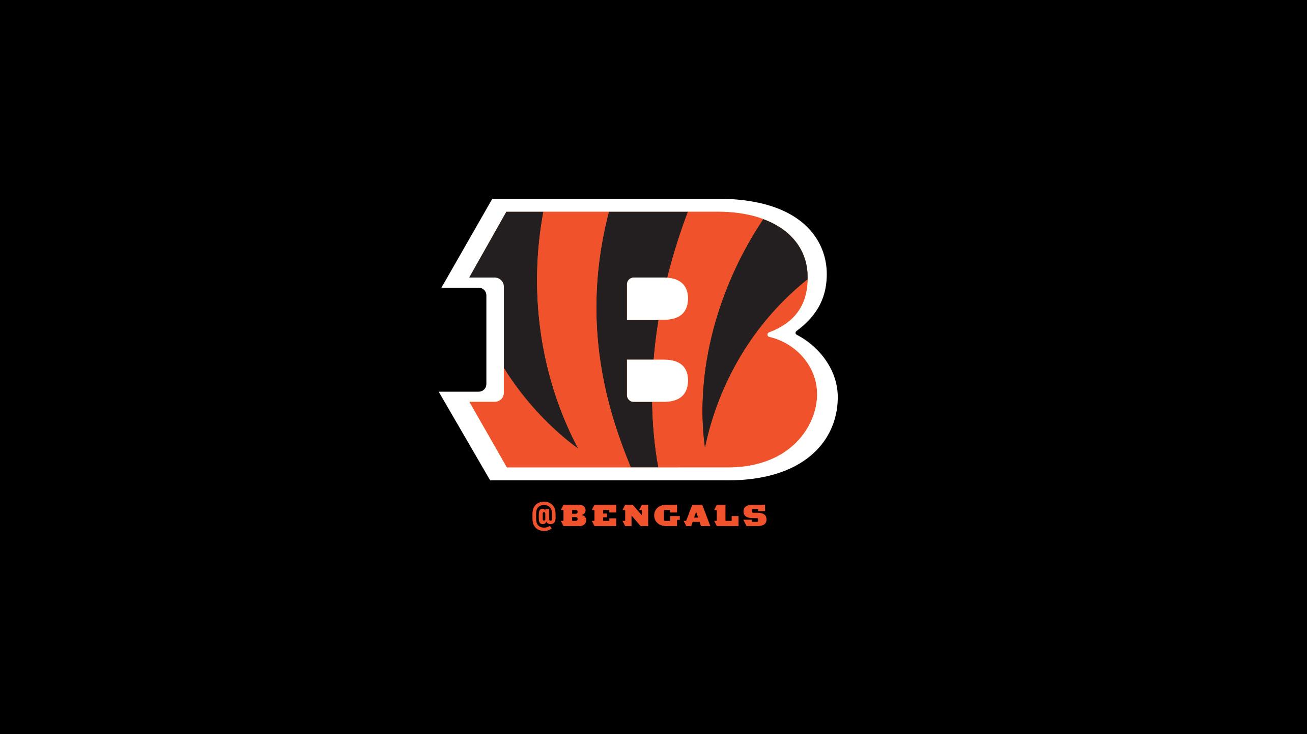 Cincinnati Bengals Fans Wallpaper