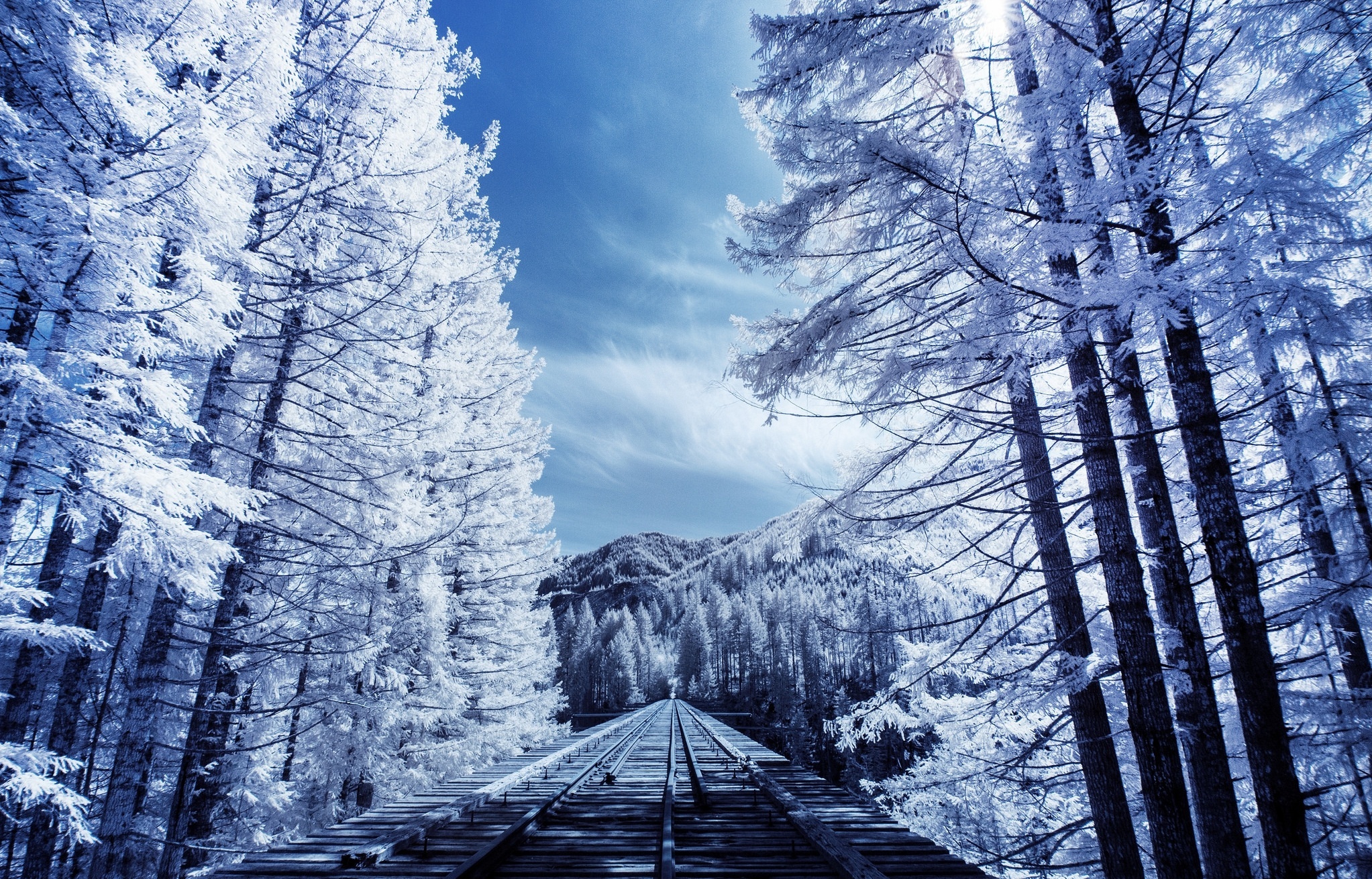 Wallpaper. Railway. winter, railway, the way, forest, beautiful