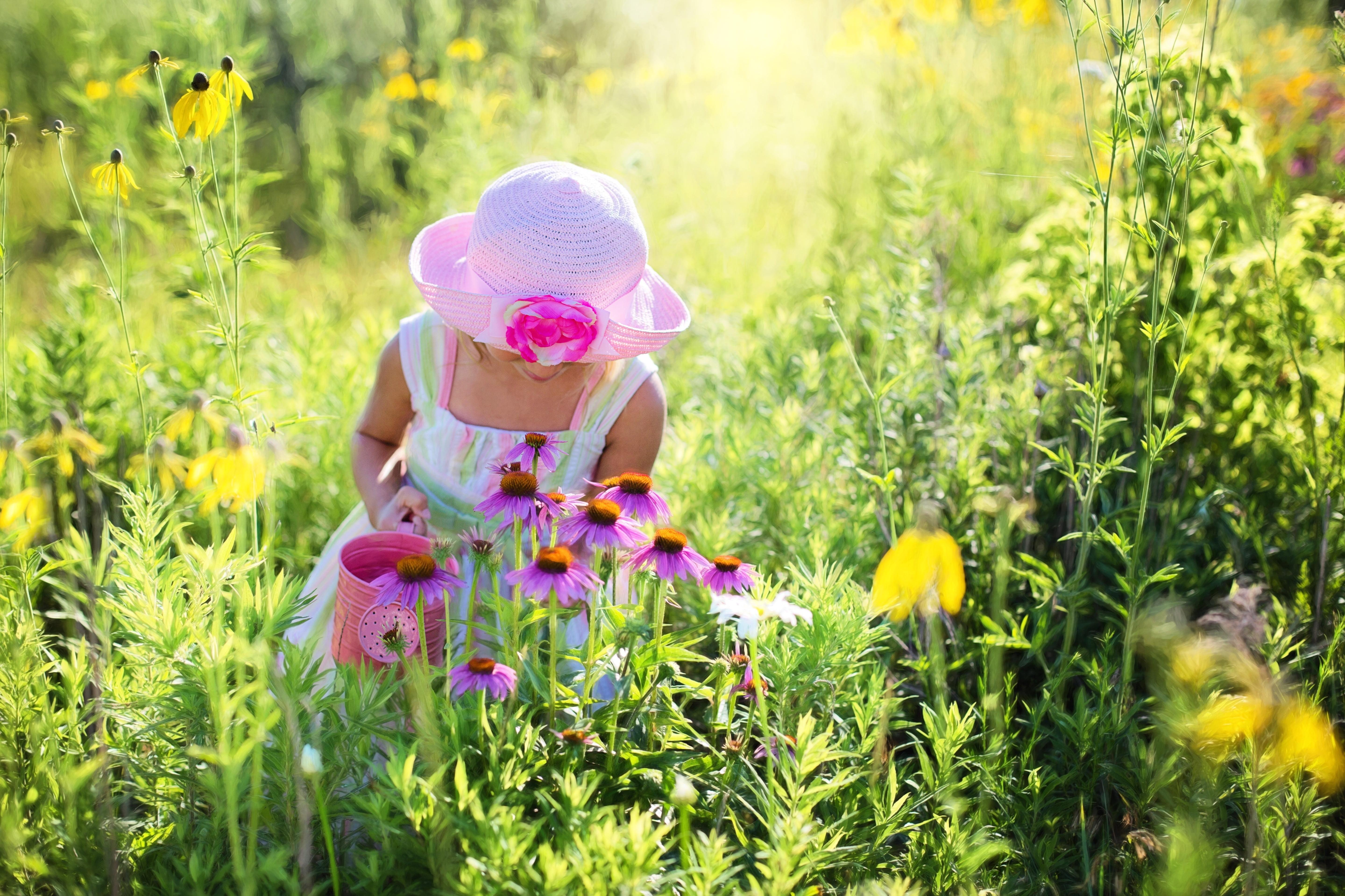 Girl in pink hat and white tank dress picking pink flowers HD