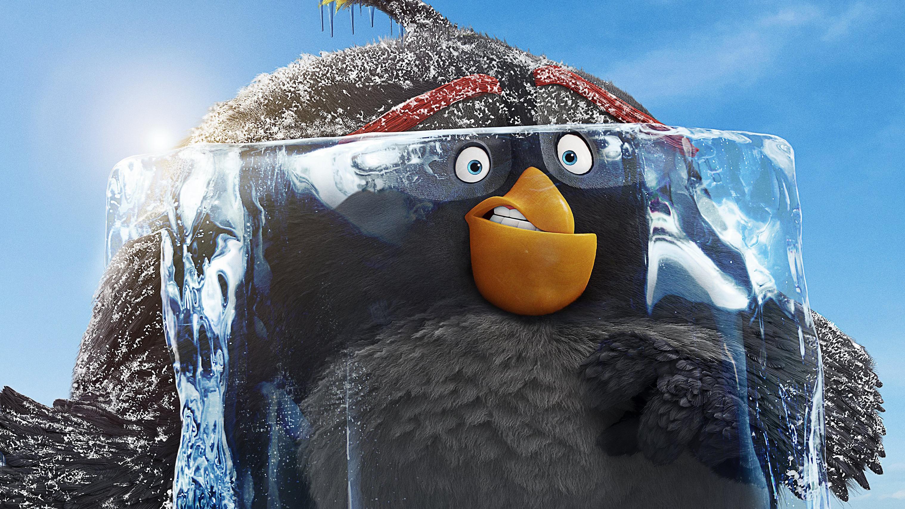 The Angry Birds Movie 2 HD Wallpaper. Background Imagex1708