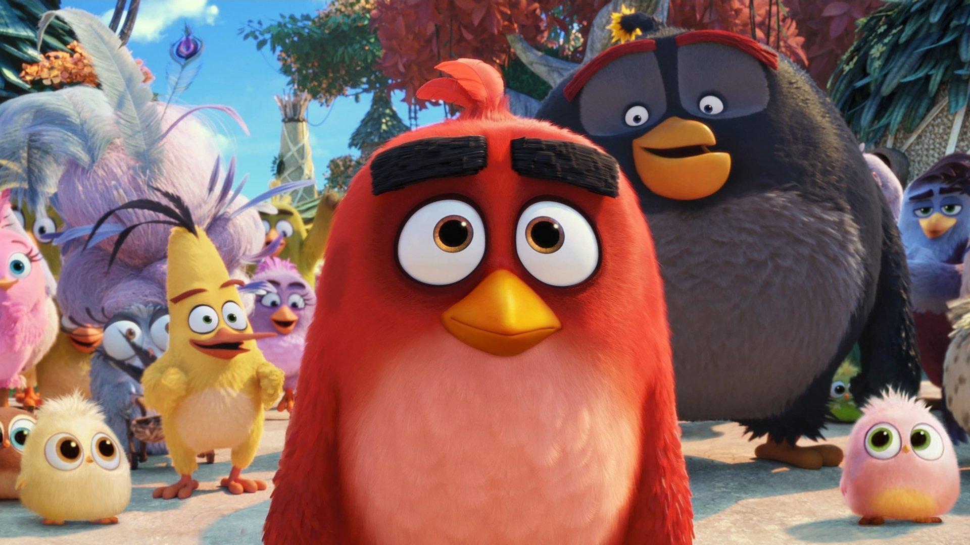 The Angry Birds Movie 2 4k Ultra HD Wallpaper. Background Image
