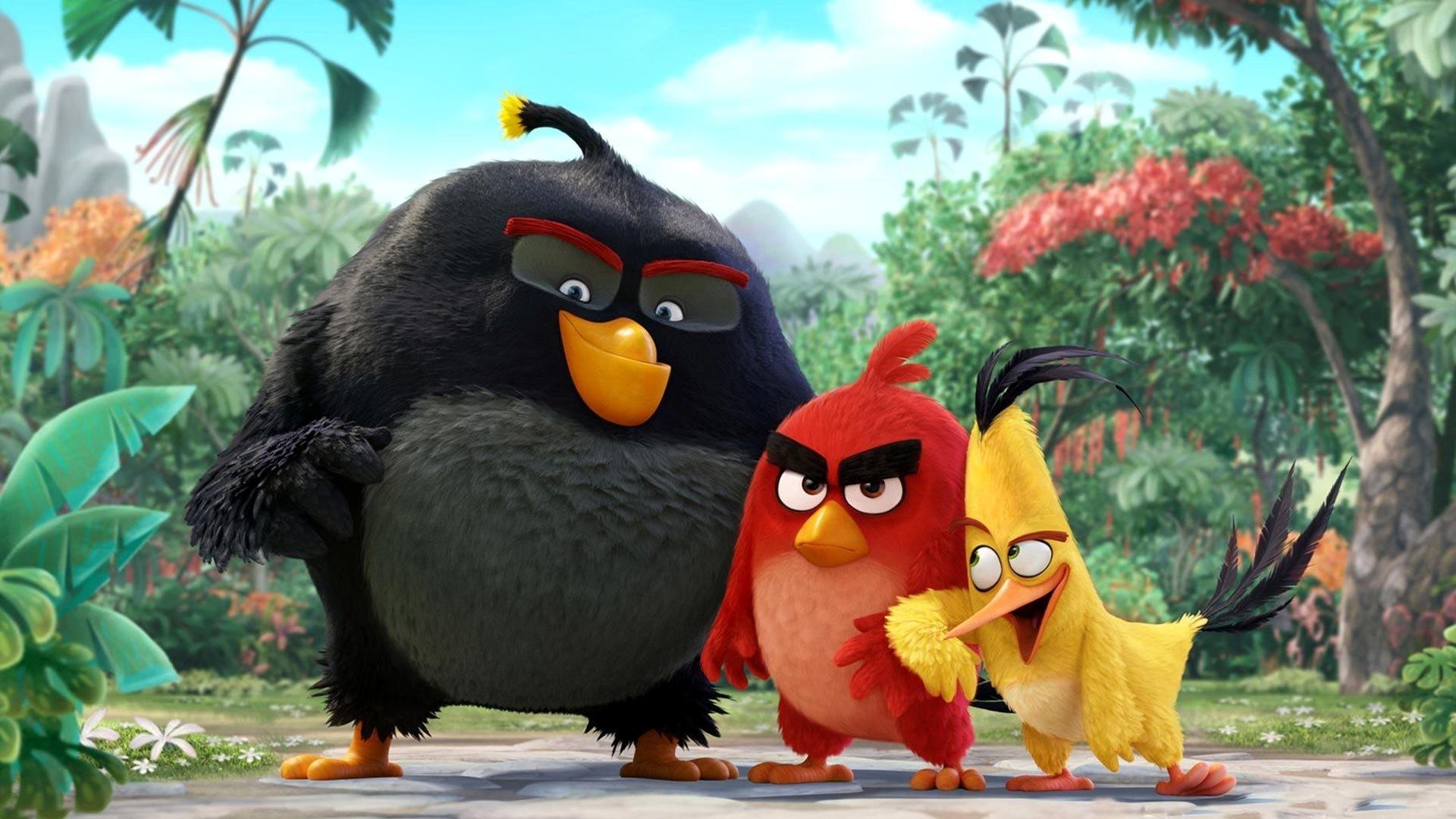 Angry Bird Wallpaper background picture