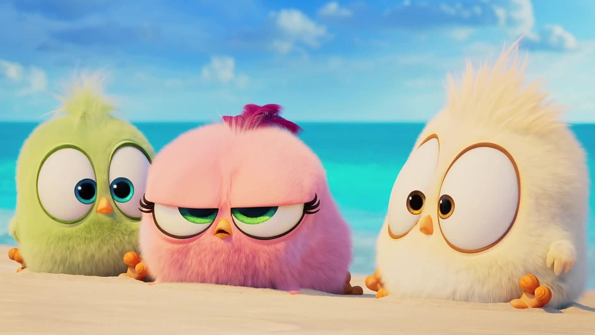 The Angry Birds Movie 2 HD Wallpaper 43391