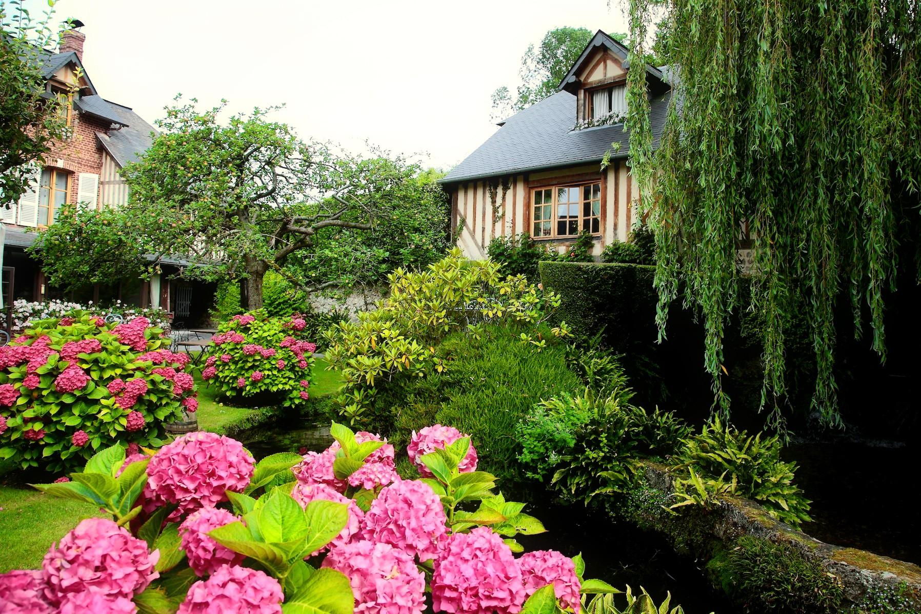 Flower: Hydrangea Countryside Trees Summer Garden Lovely Houses