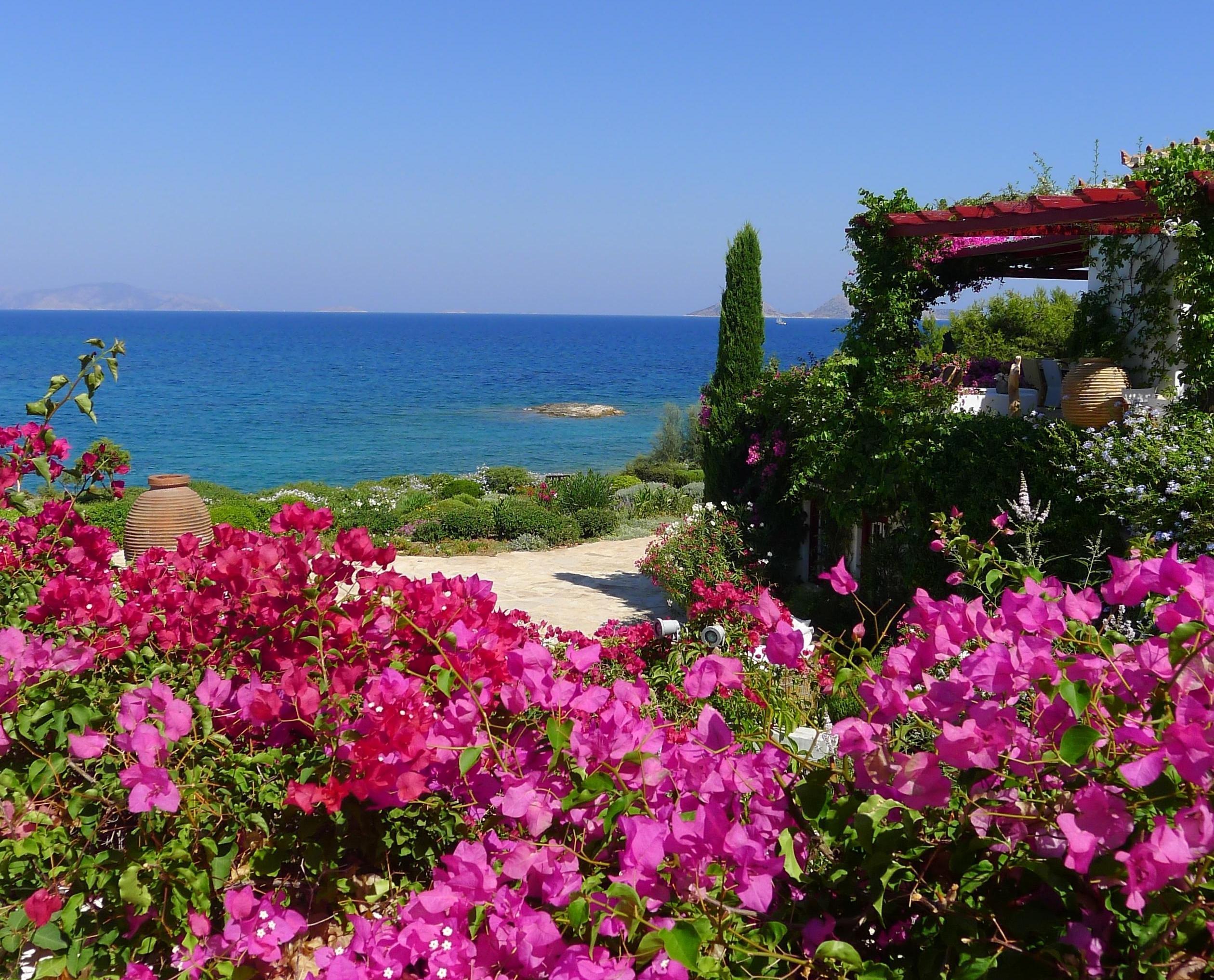 beautiful, garden, sea, summer, flowers, coast, plants wallpaper