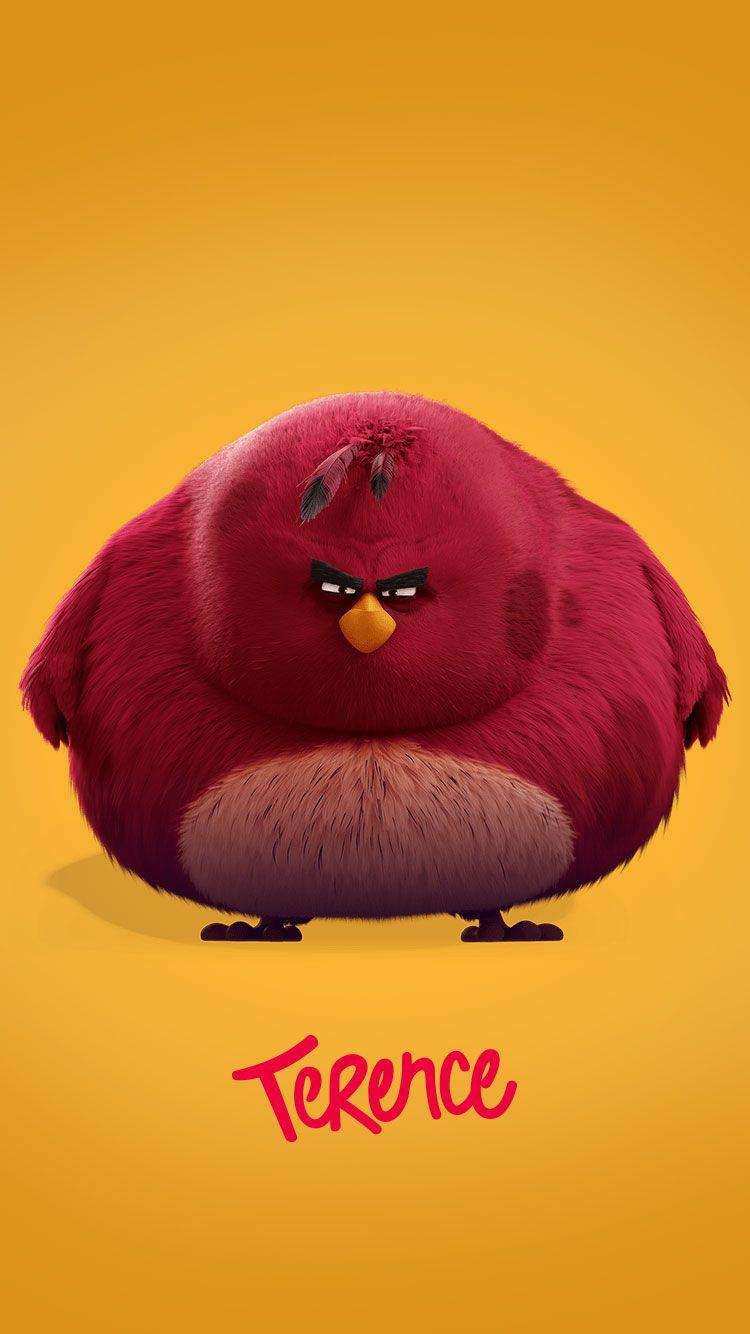 View source image. Fun Wallpaper!. Angry birds