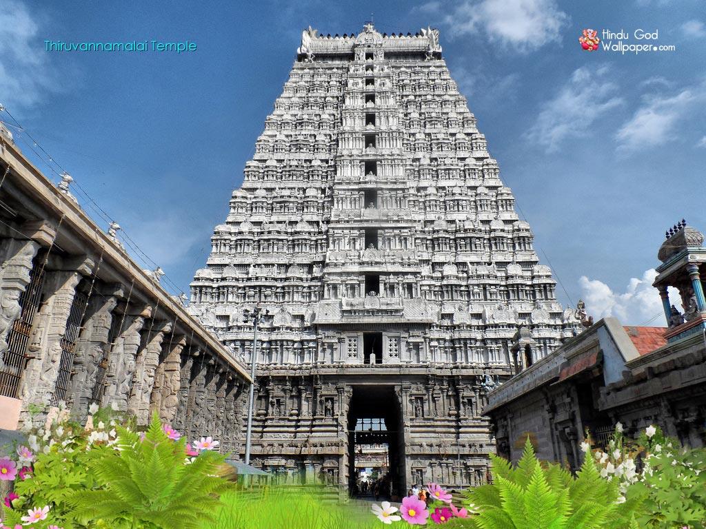 Thiruvannamalai Temple Wallpaper & Image Free Download