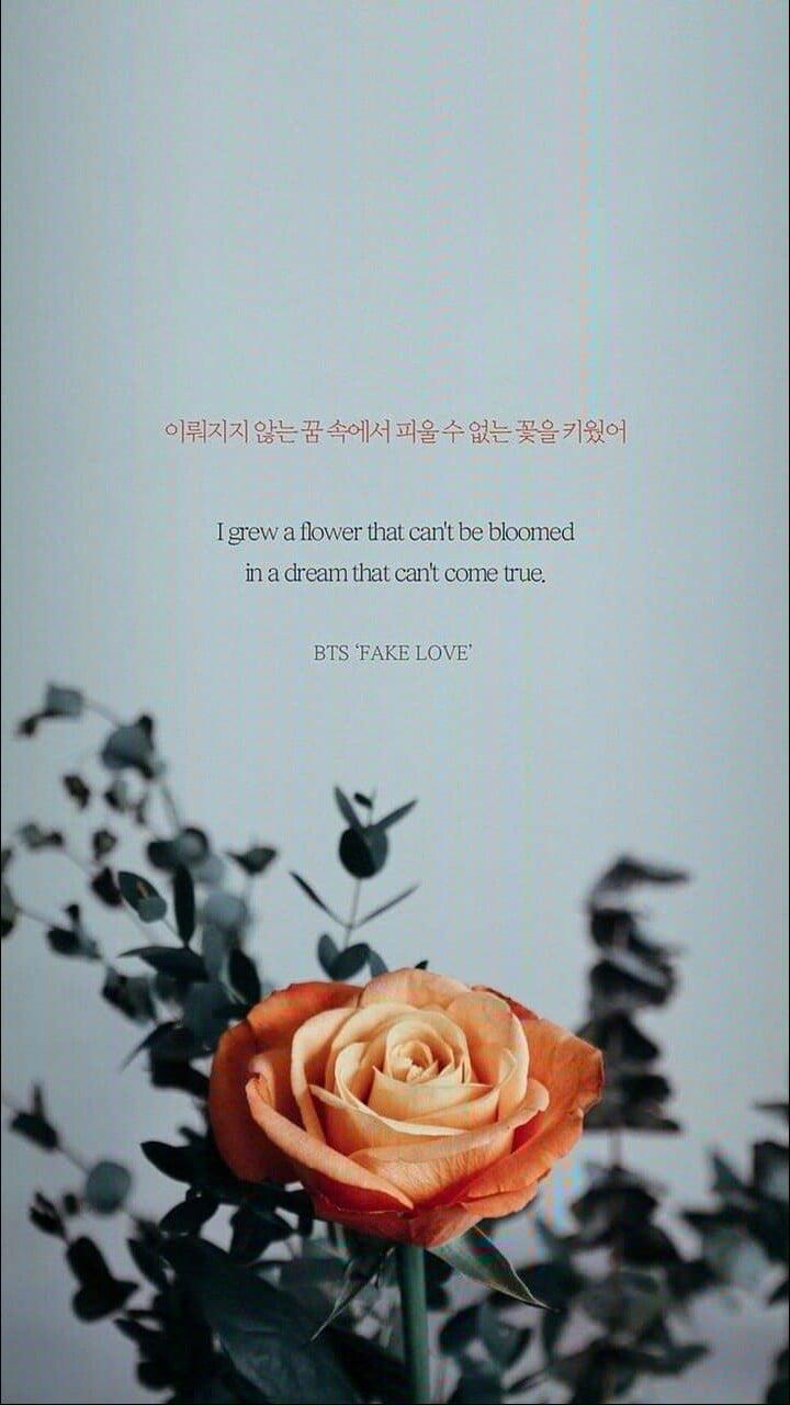 Bts Lyrics Wallpapers Wallpaper Cave