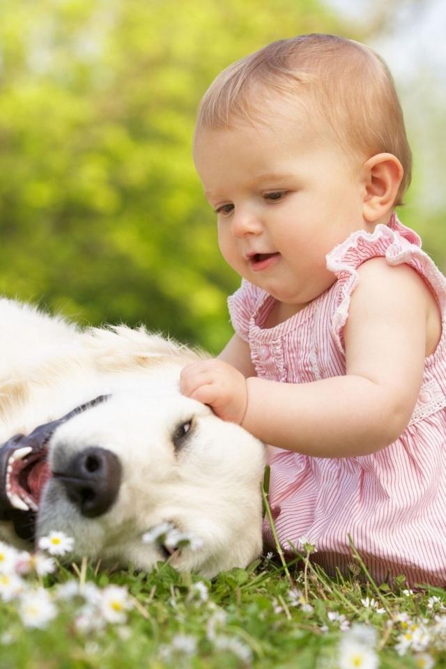 Baby Dog Grass Mobile Wallpaper Wall For Mobile Wallpaper