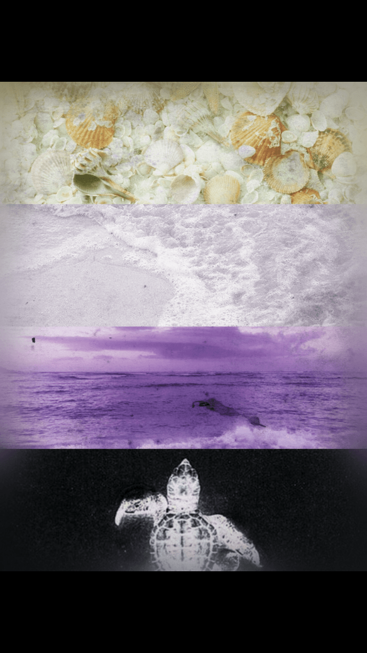 Nonbinary & Beach Aesthetic. Made By Lgbt Aesthetics On Tumblr