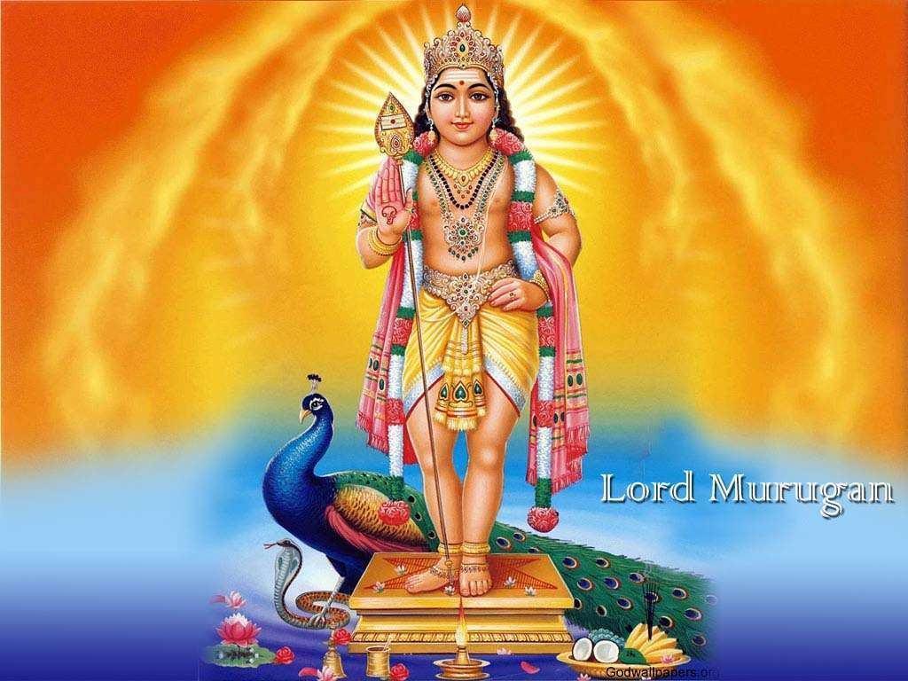 Lord Murugan Wallpaper for Android