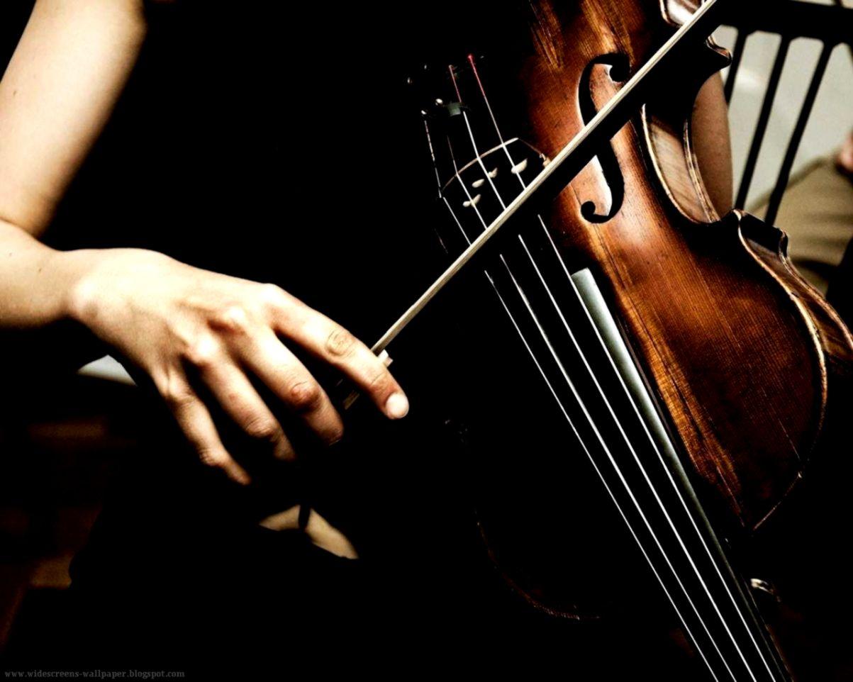 Girl Play Violin Music HD Wallpaper